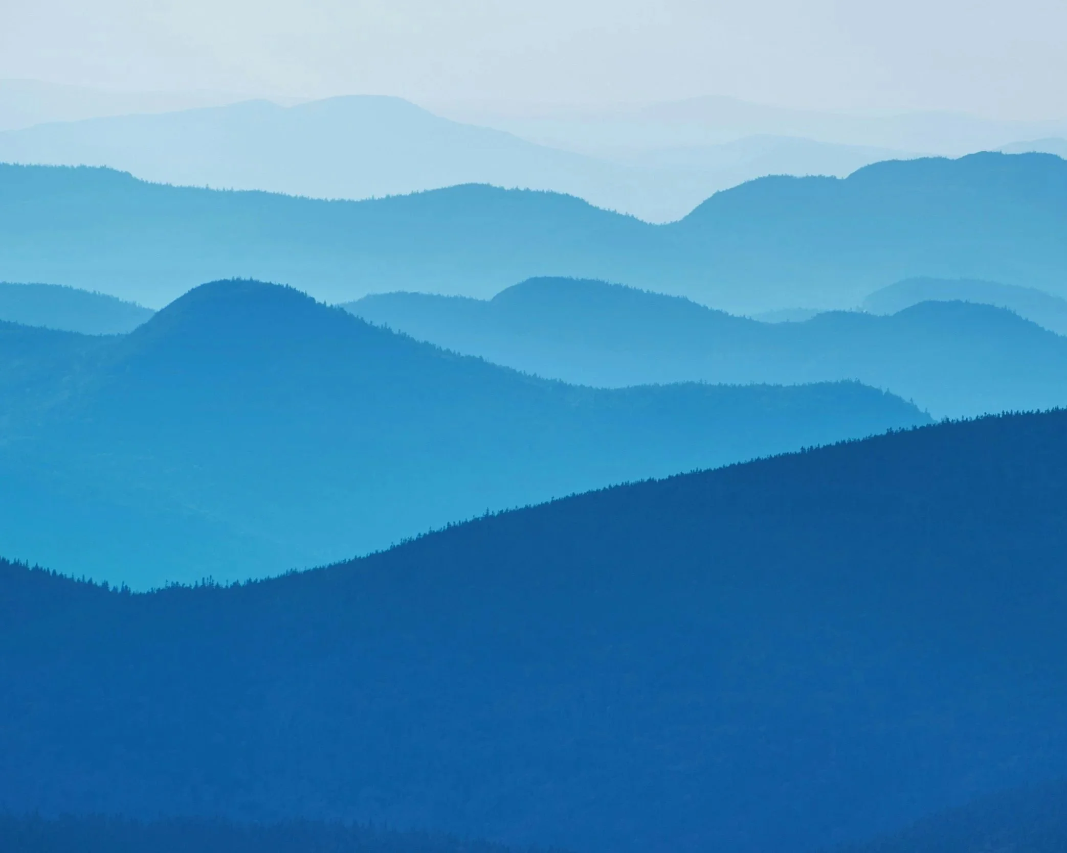 Pilgrim's Way - Louisa DeHart