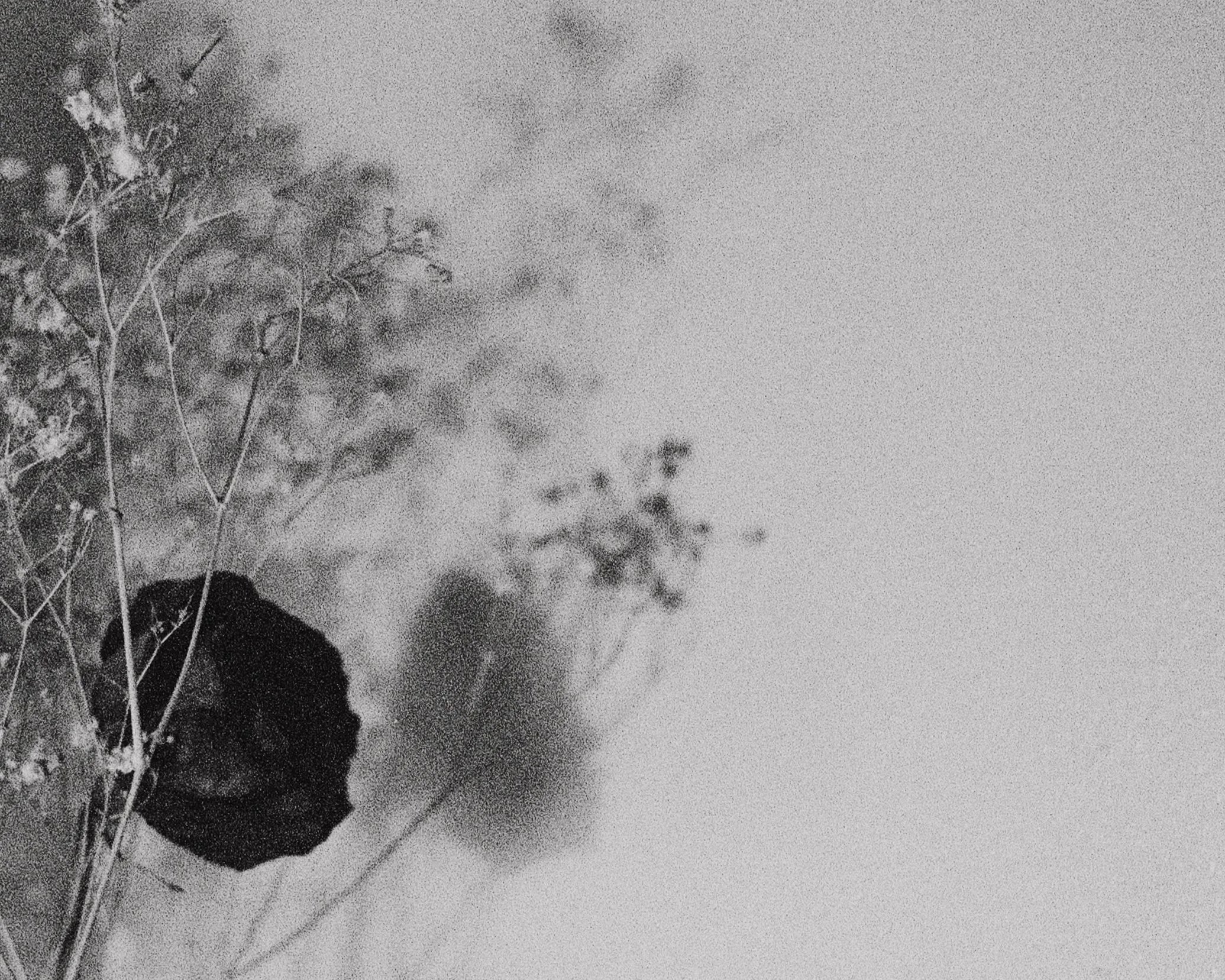 Autumn's Shadow - Poem by Gabrielle Johnson