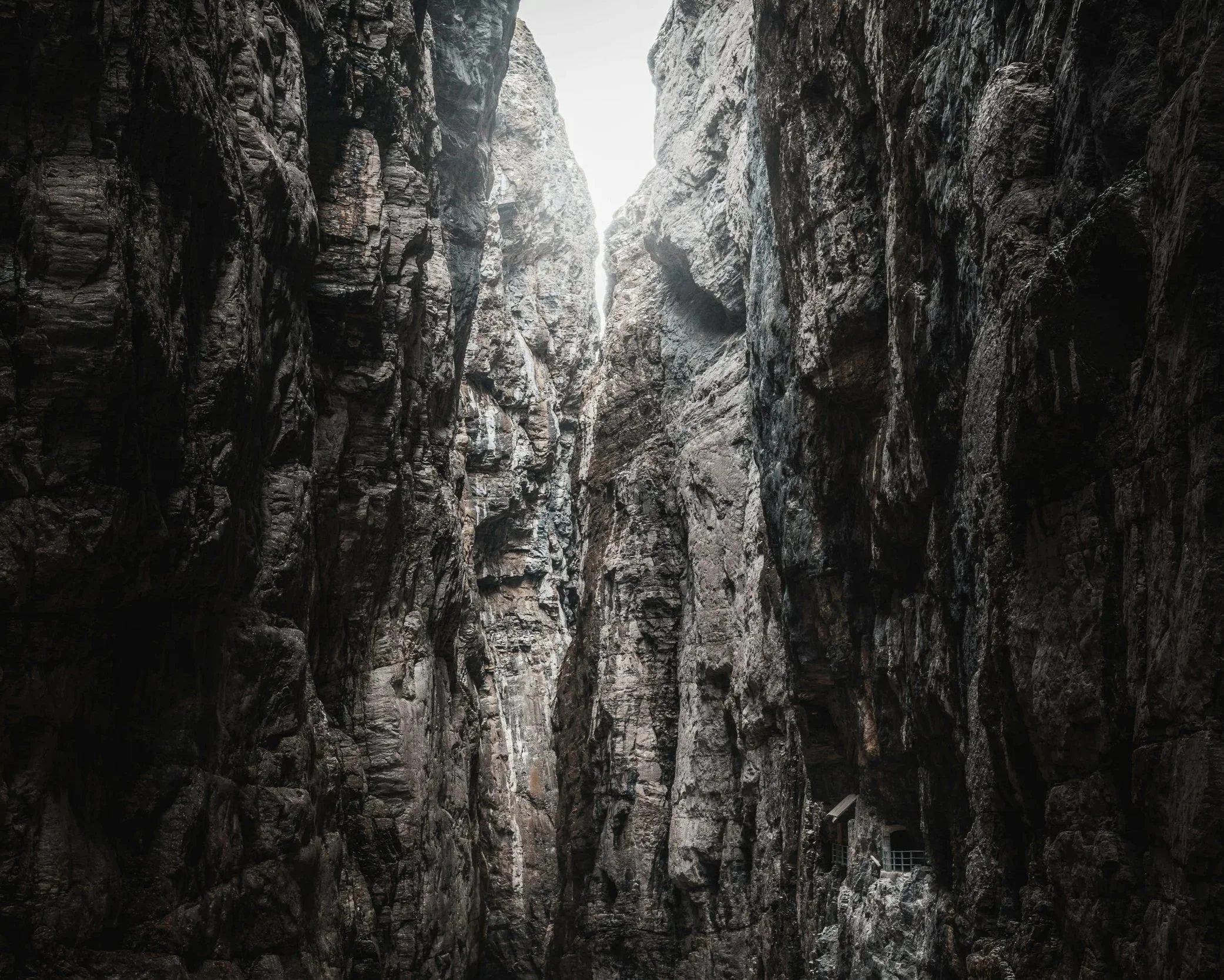 Silver in the Bones - Liv Ross