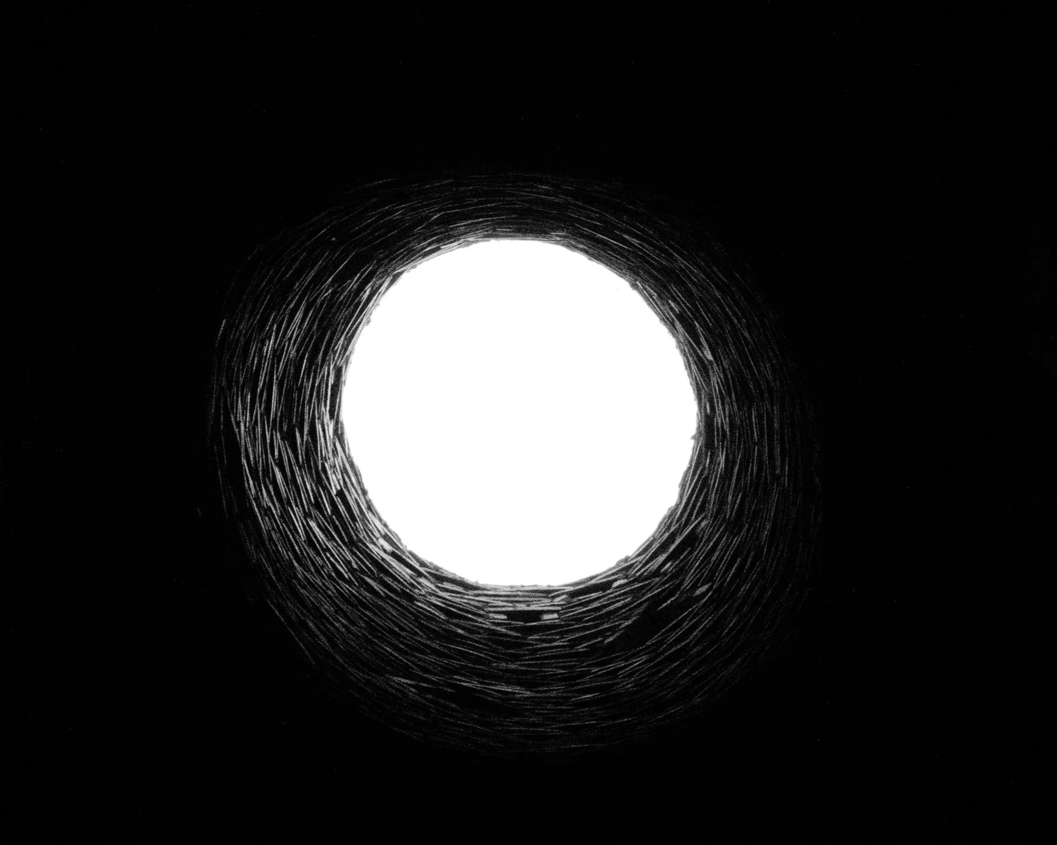 Black Hole - Sarah Steele 