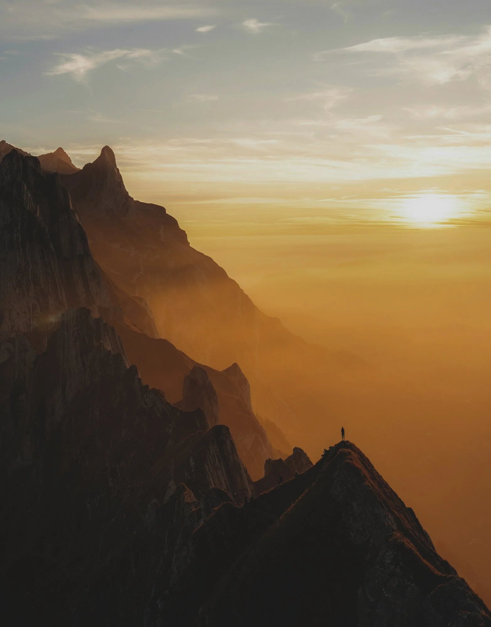 Velvet of our Evening