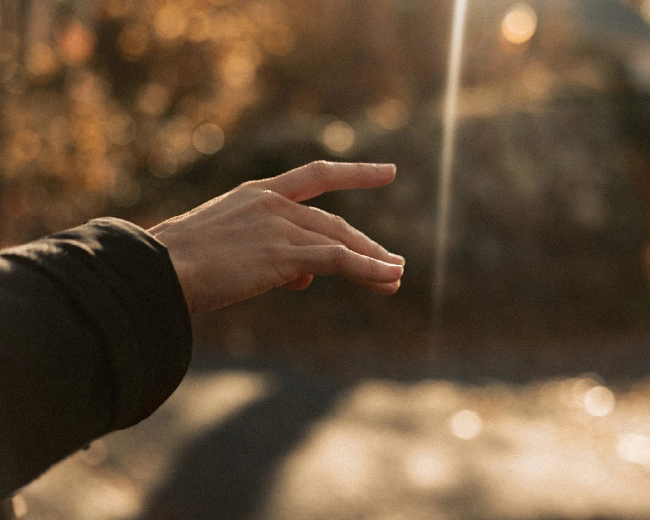 Palms by Jessie Flowers 