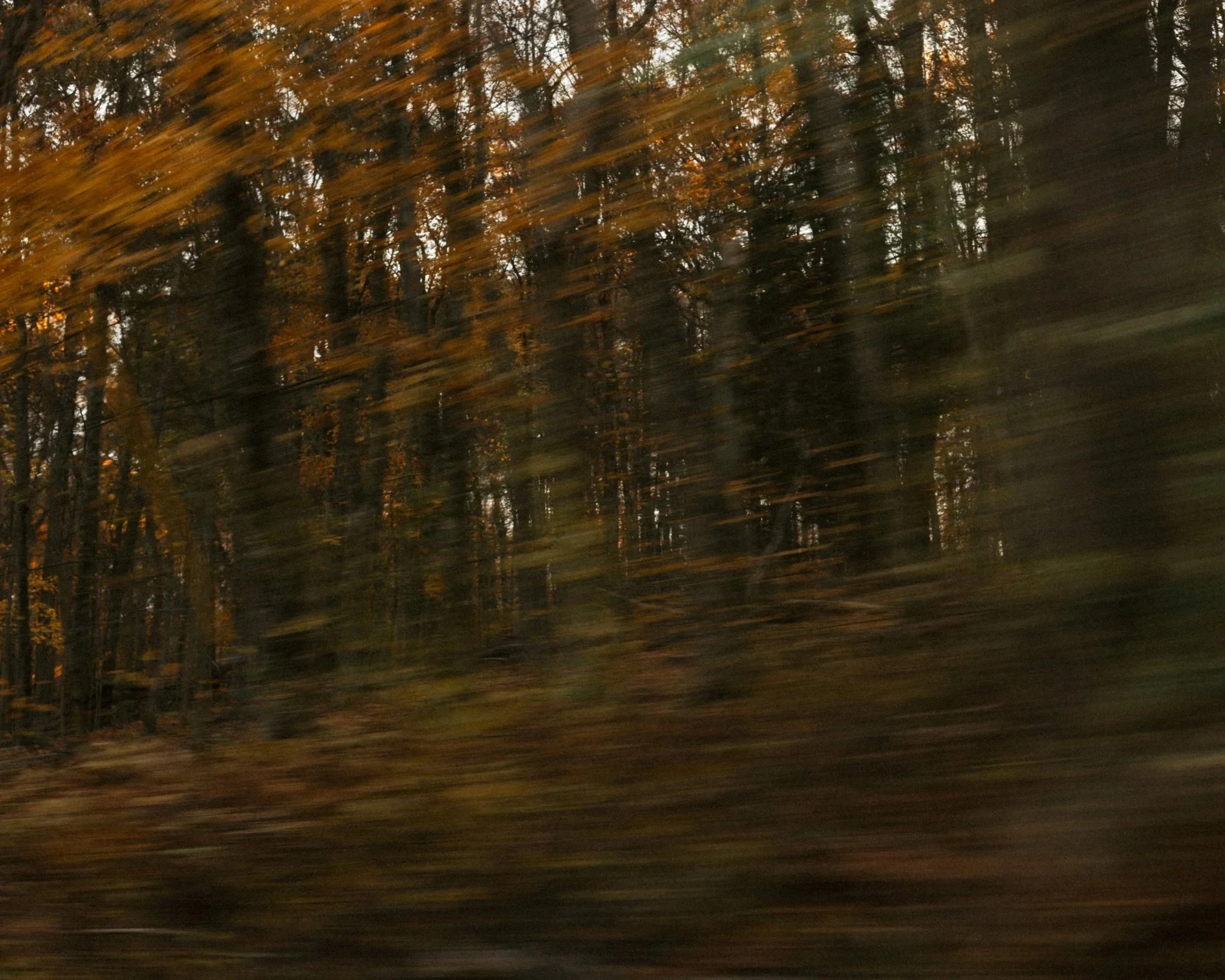 The Days are Getting Shorter Now by Aisling Cruz