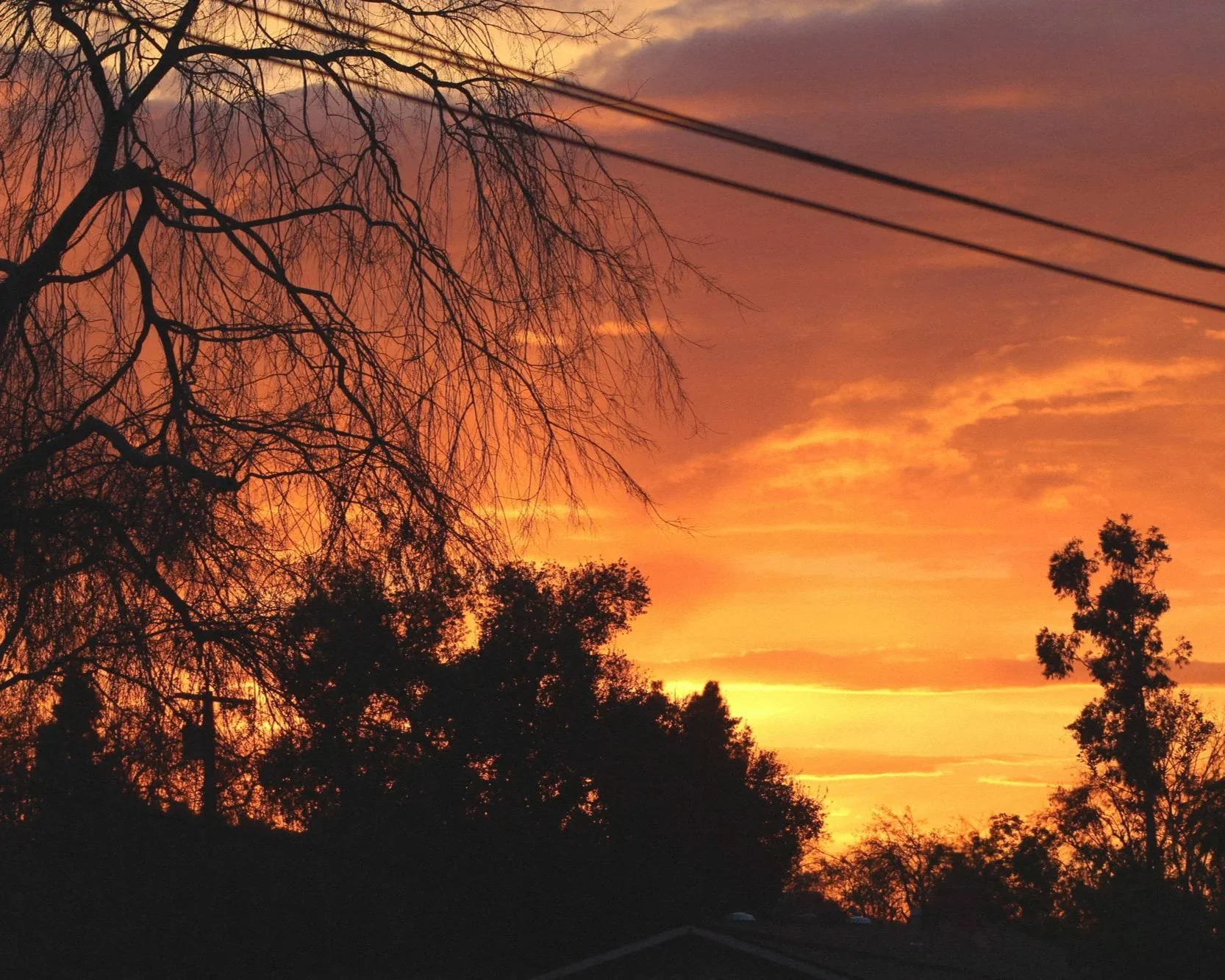 Do not Disturb by Hannah Christmas