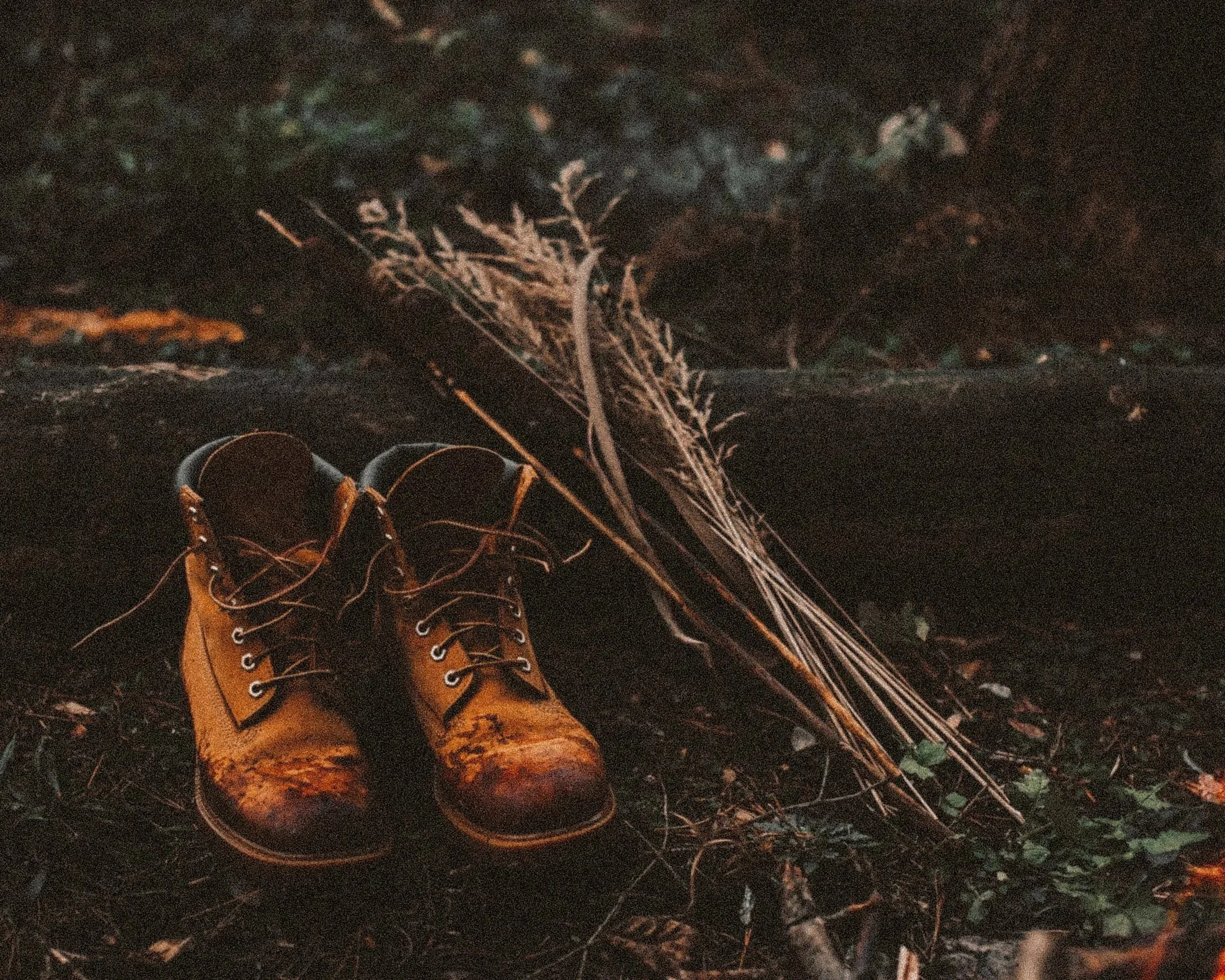 The Syllabus: Yellow River by Casey Dwyer