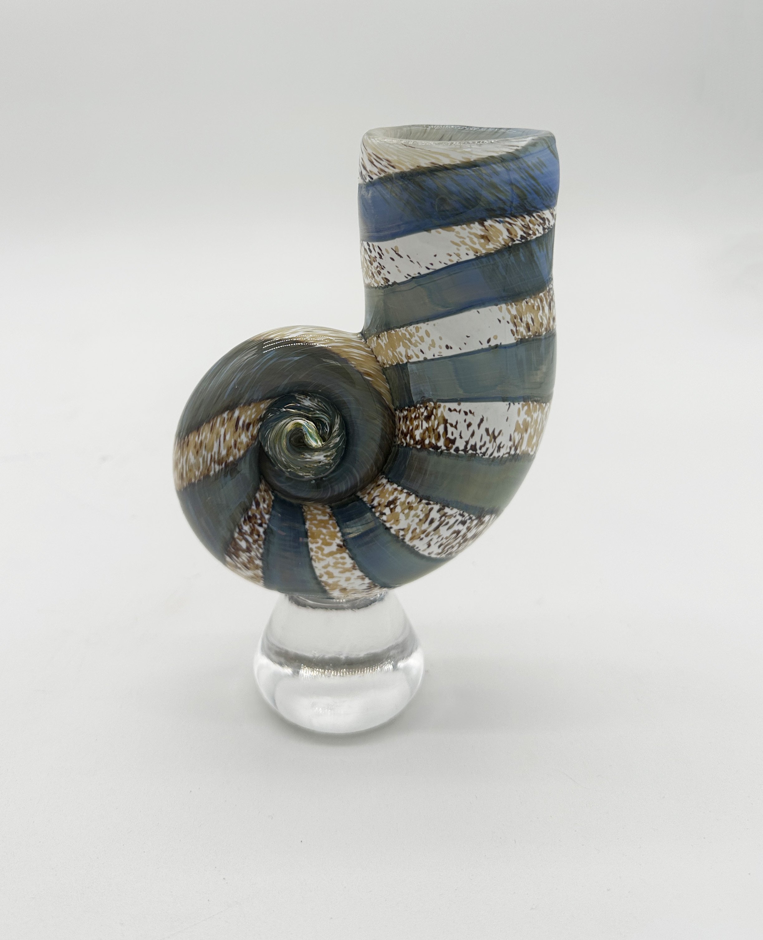 ll ammonite 5.jpg
