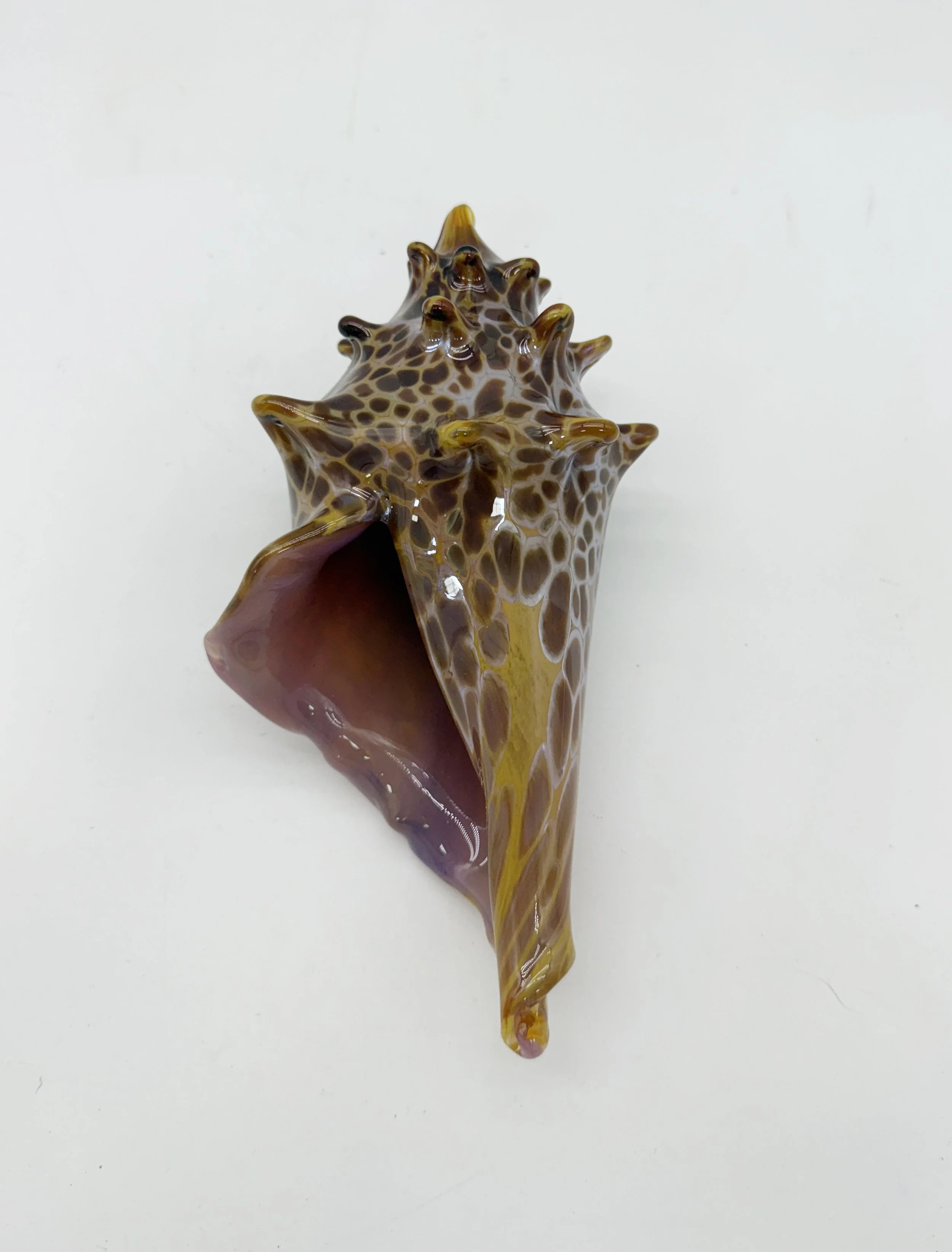conch c 3.jpg