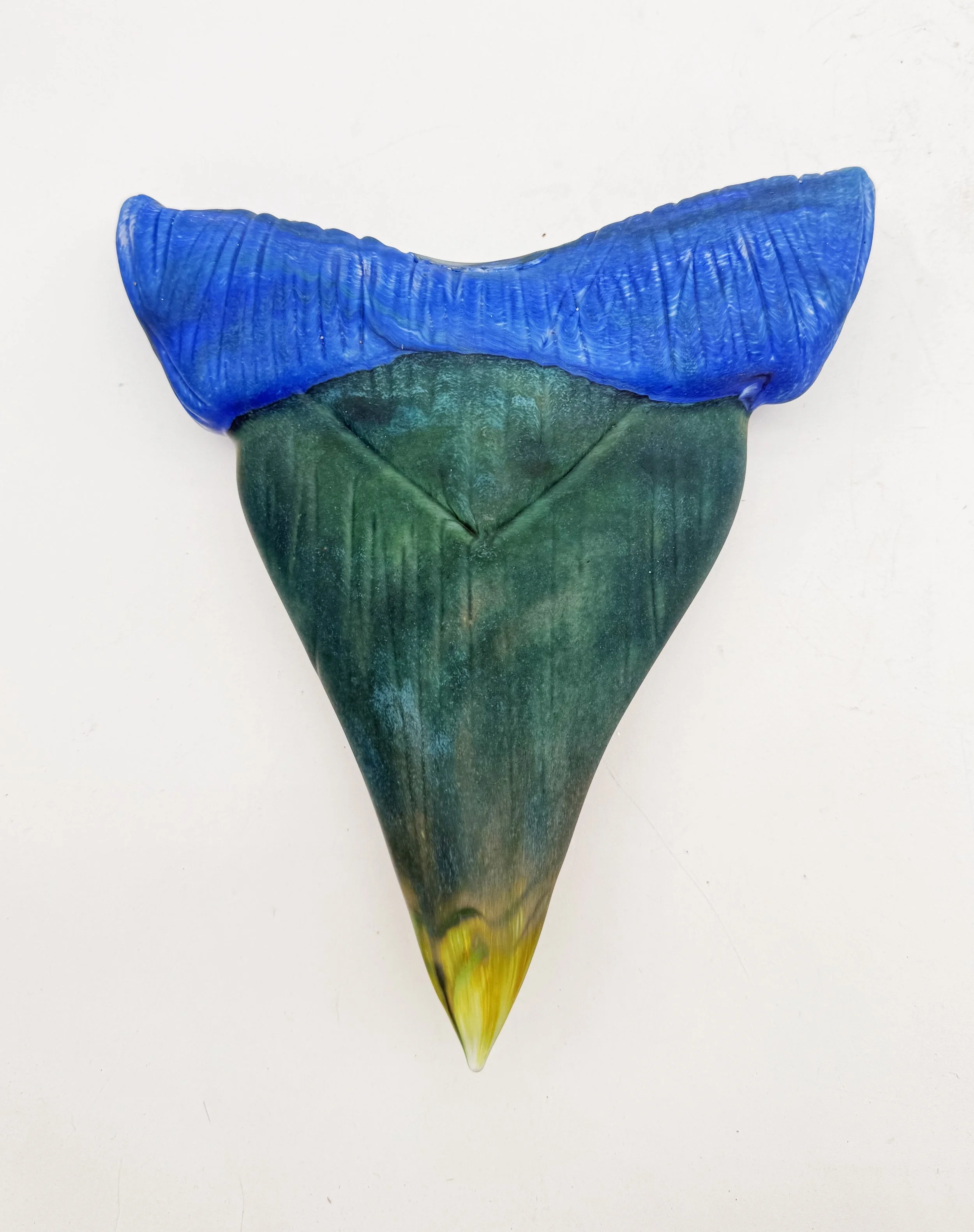 Sharks Teeth