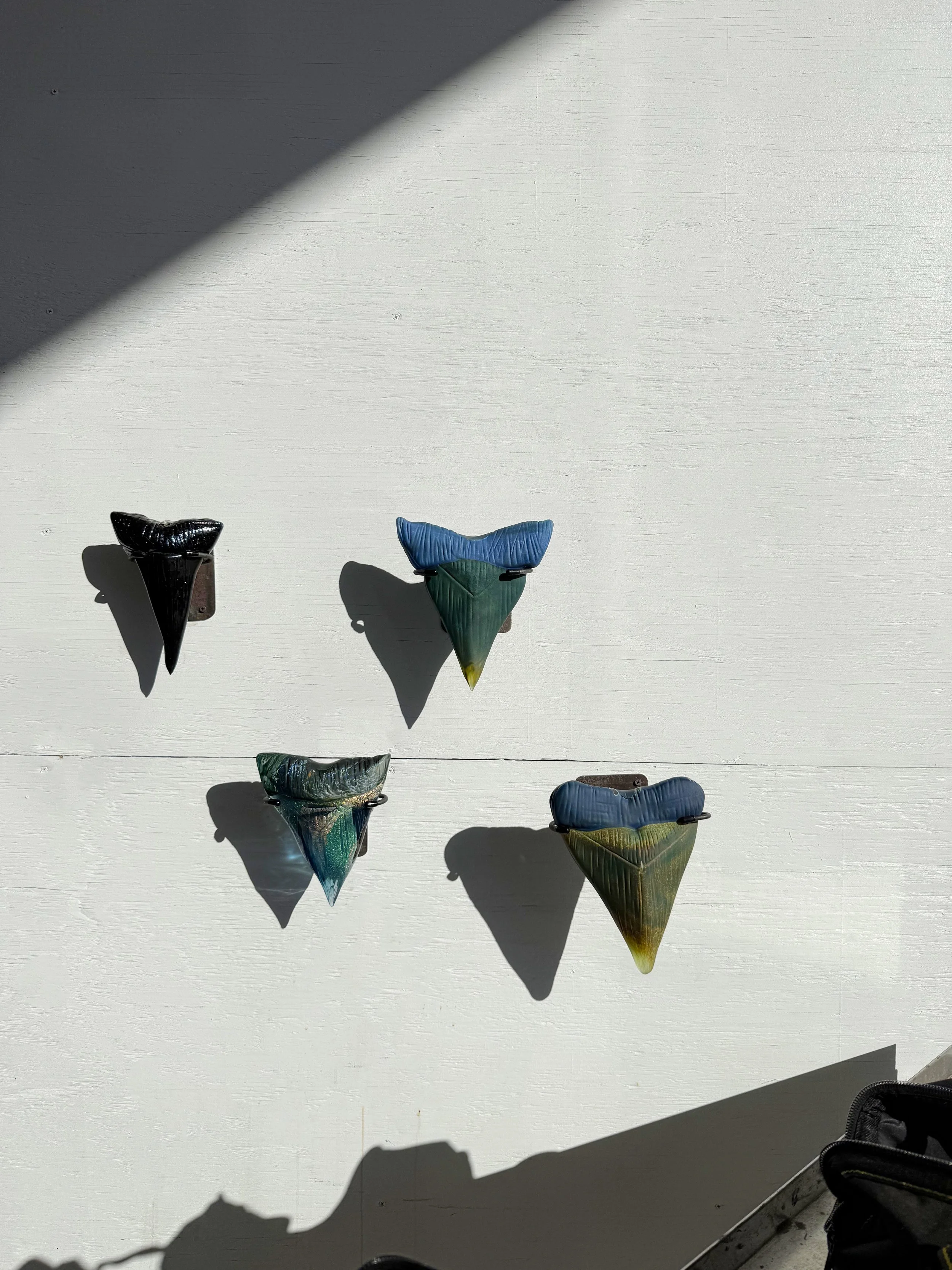 sharks teeth test.jpg