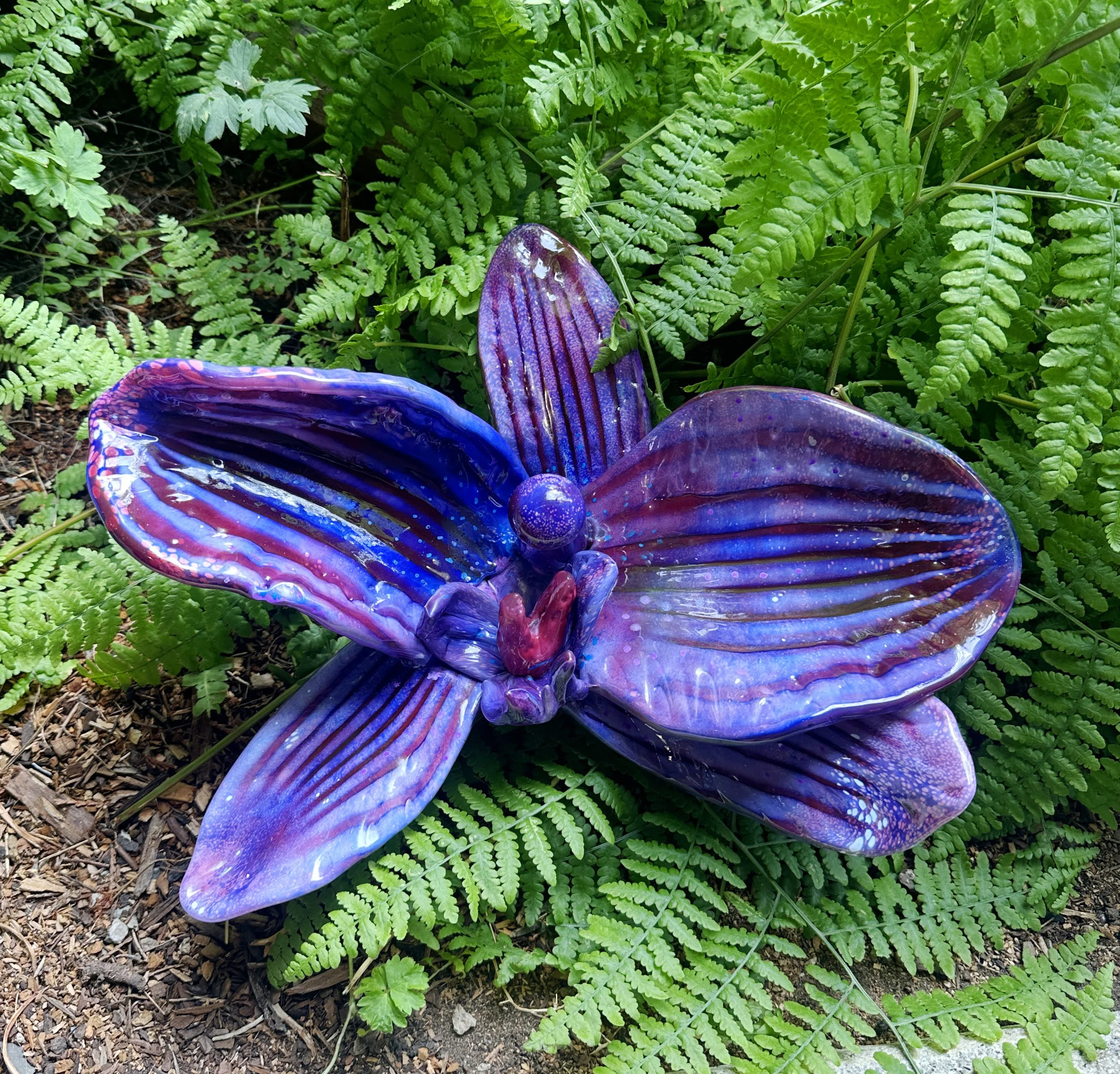 pilchuck orchid.jpg