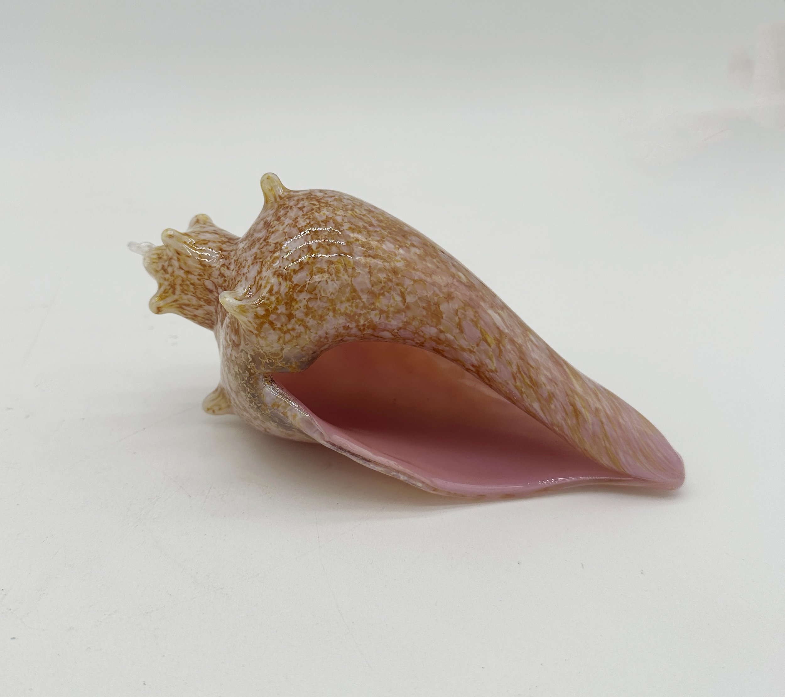 ll conch 2.jpg
