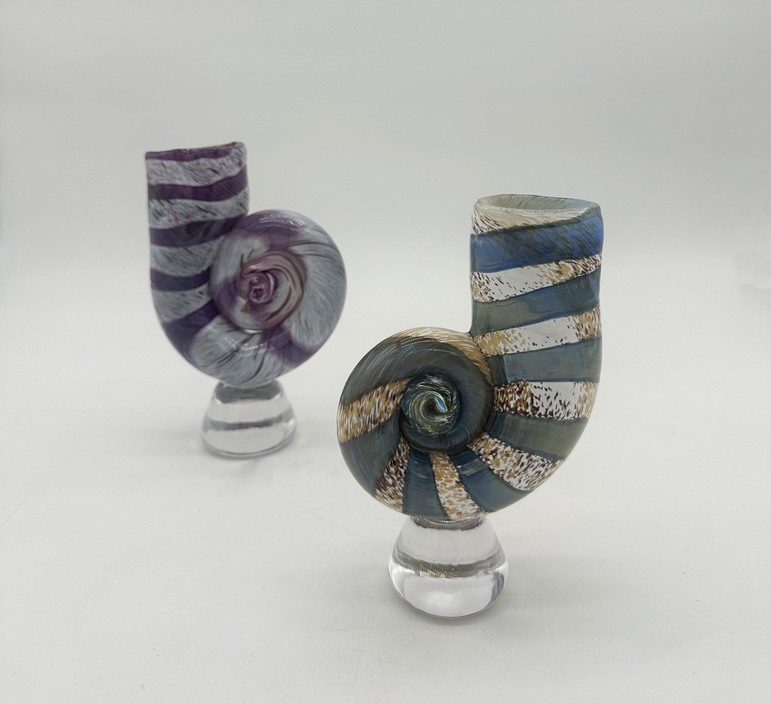 ll ammonites.jpg