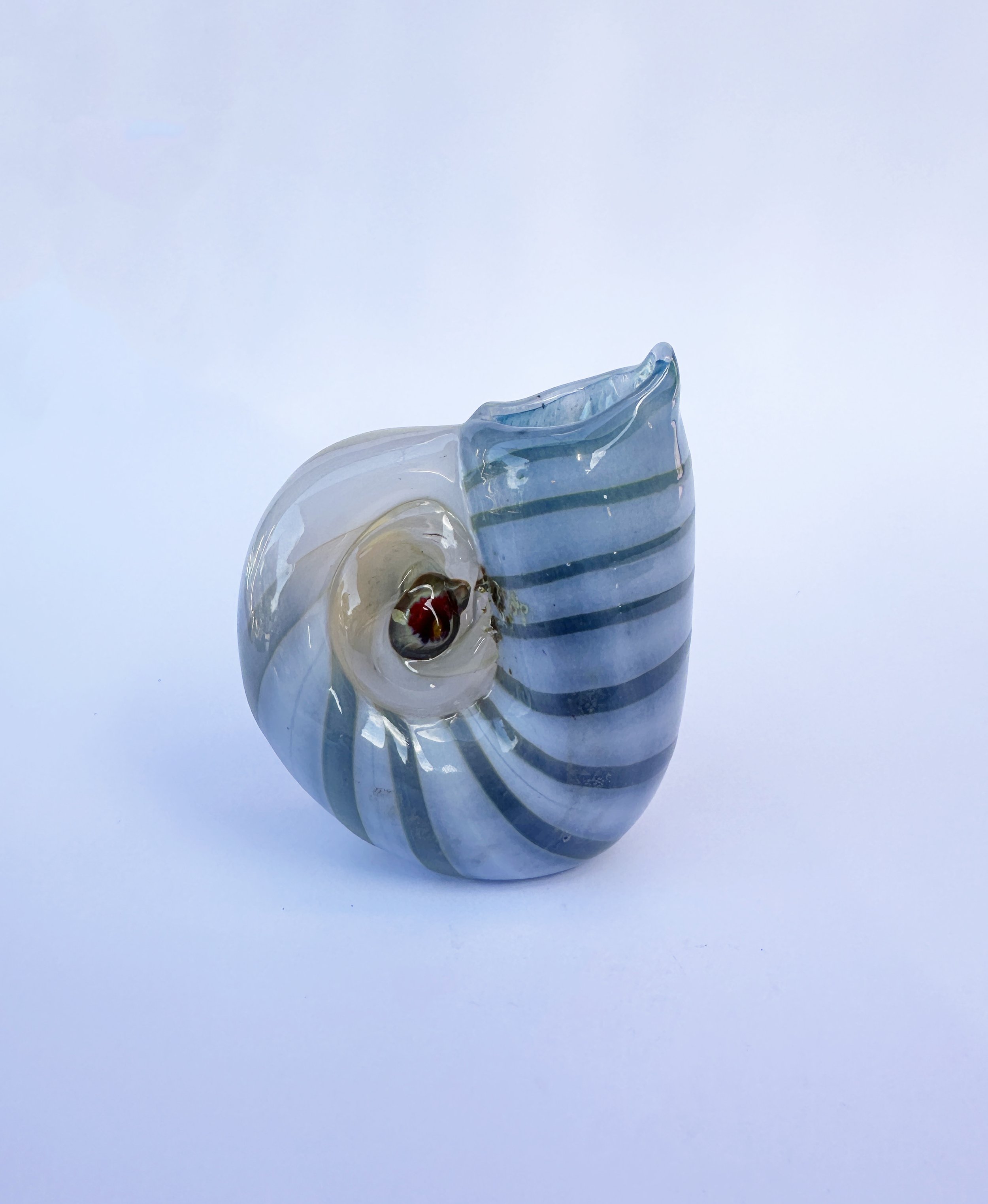 shell 2.jpg