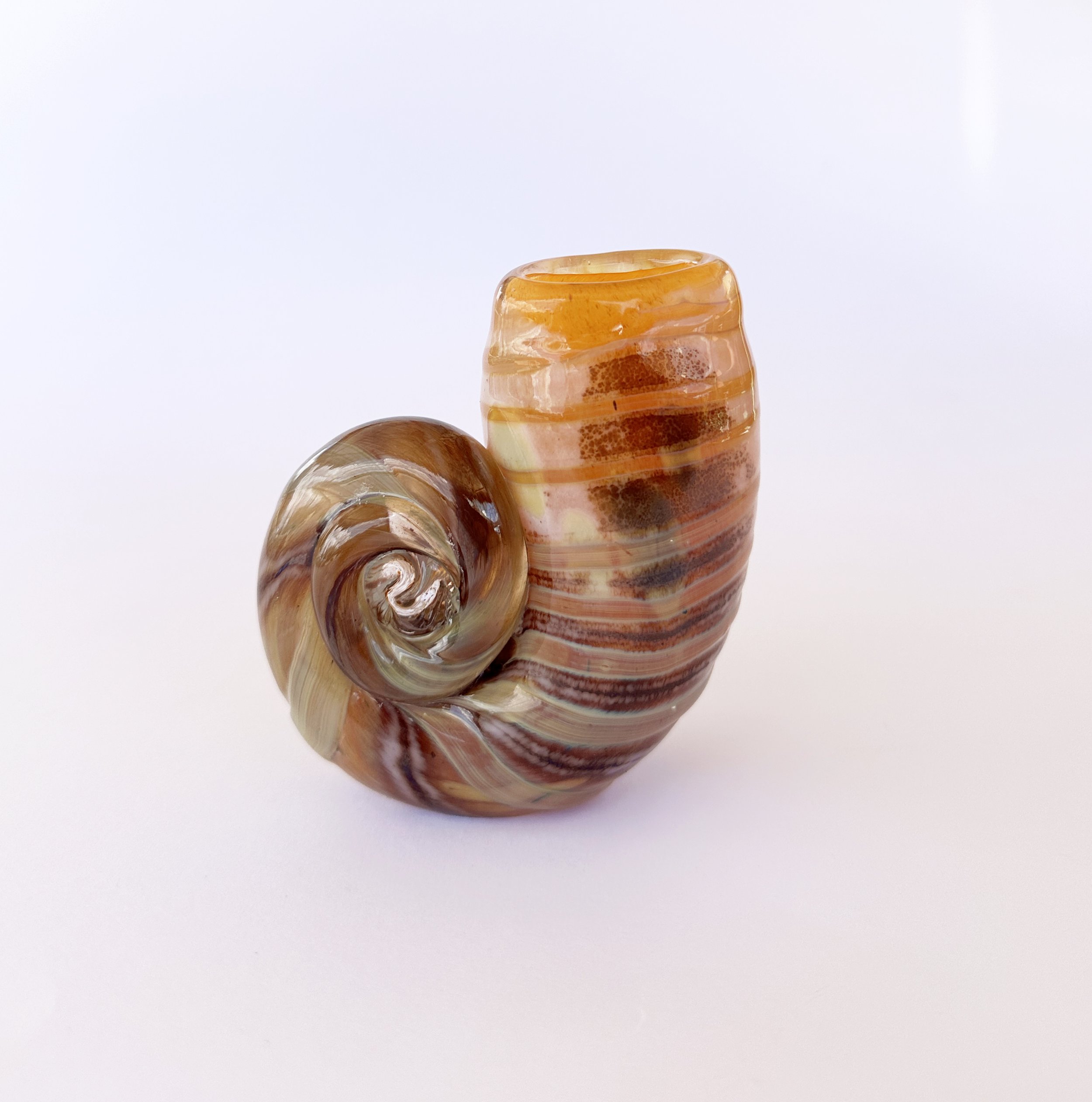 orange shell 1.jpg