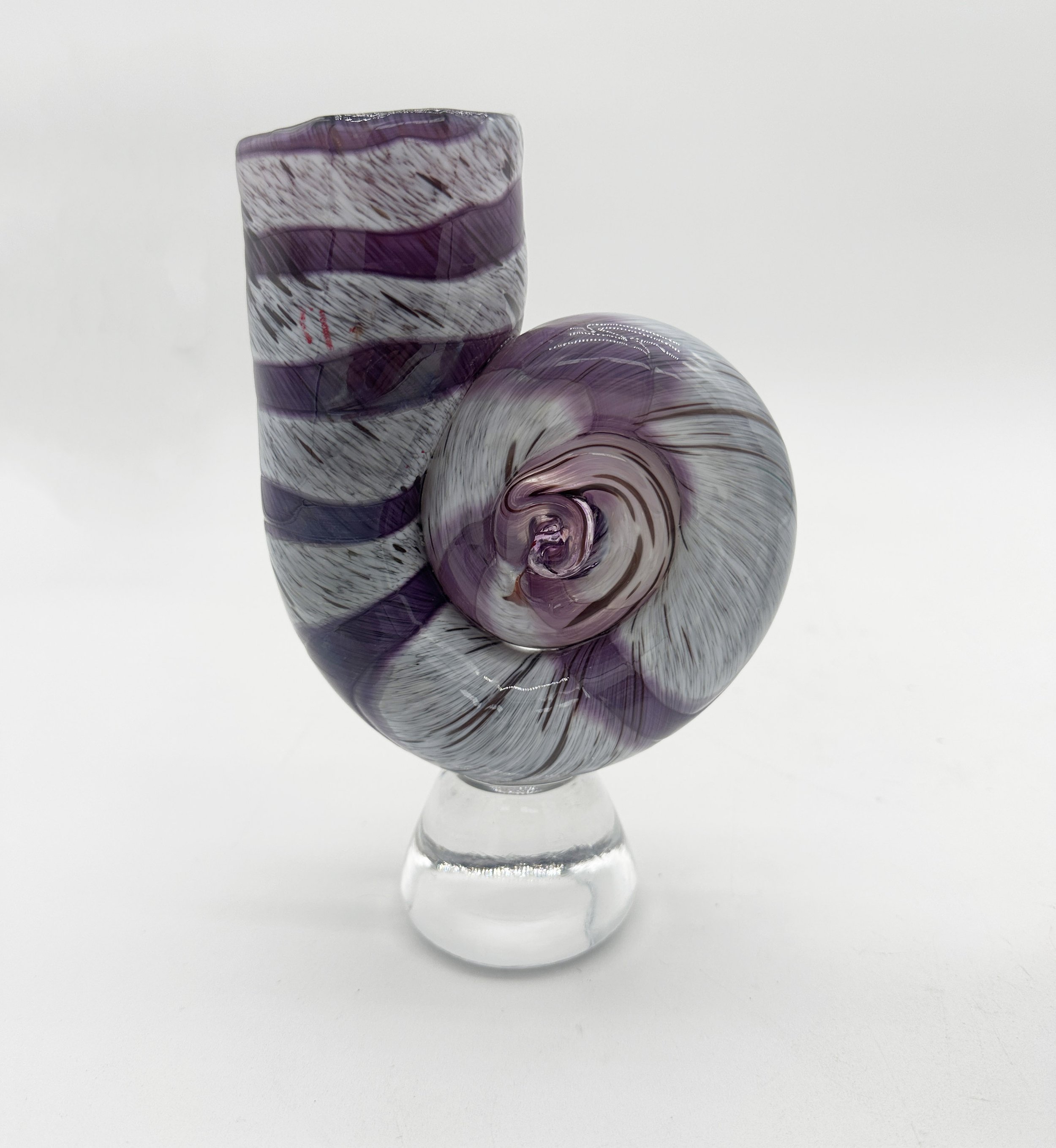 ll ammonite 3.jpg