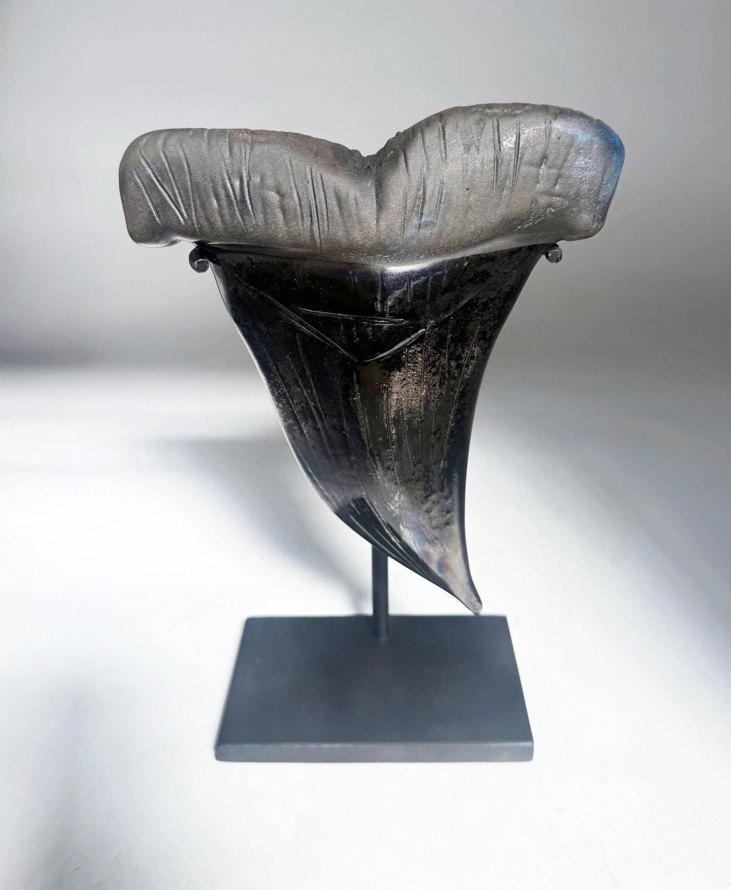 black sharts tooth.jpeg