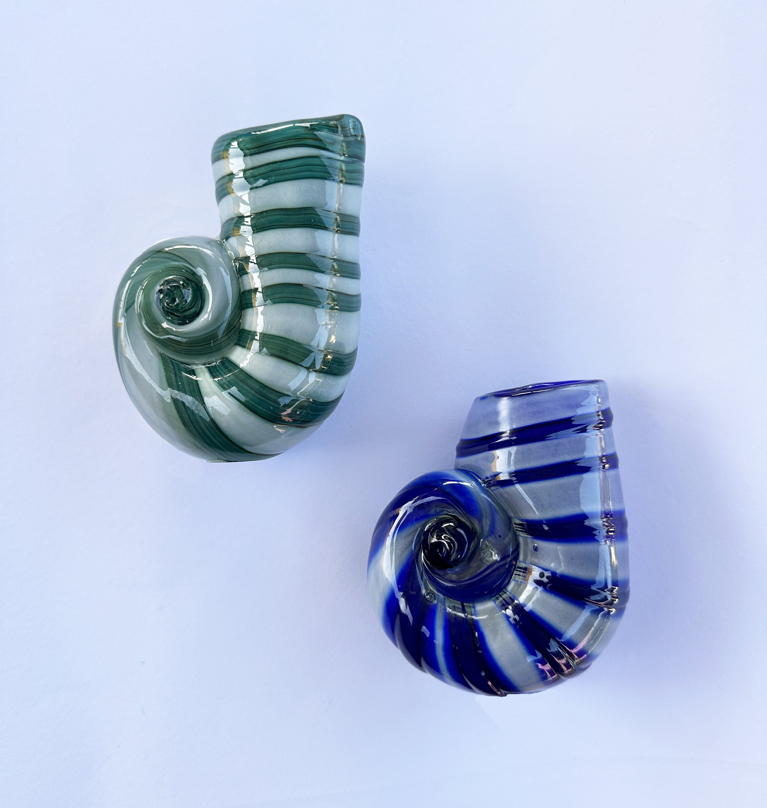 shells 2024.jpg