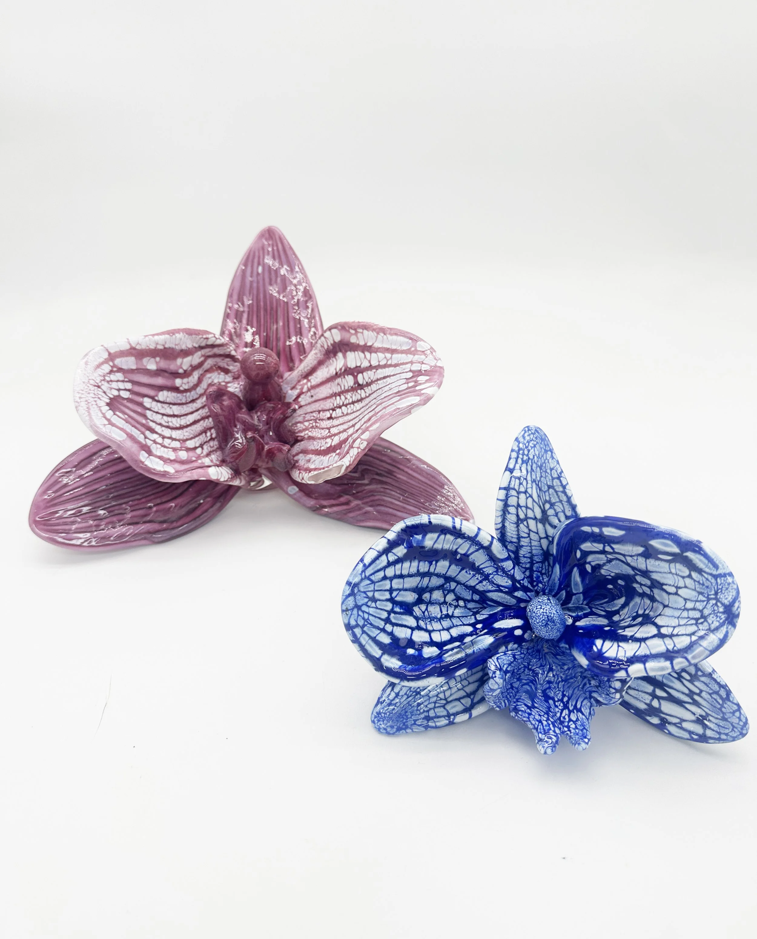 2 orchids 2025.jpg