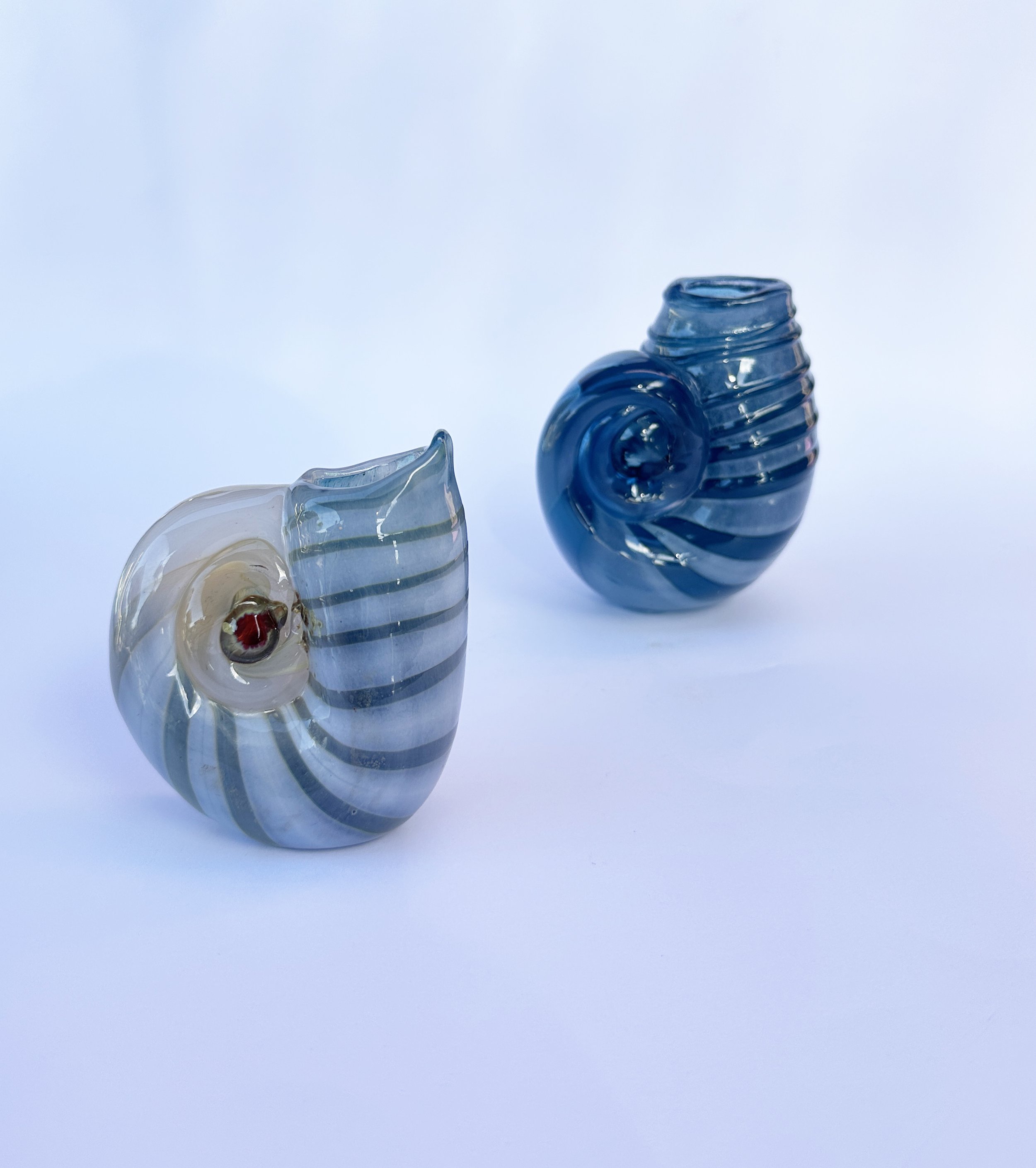 2 shells.jpg
