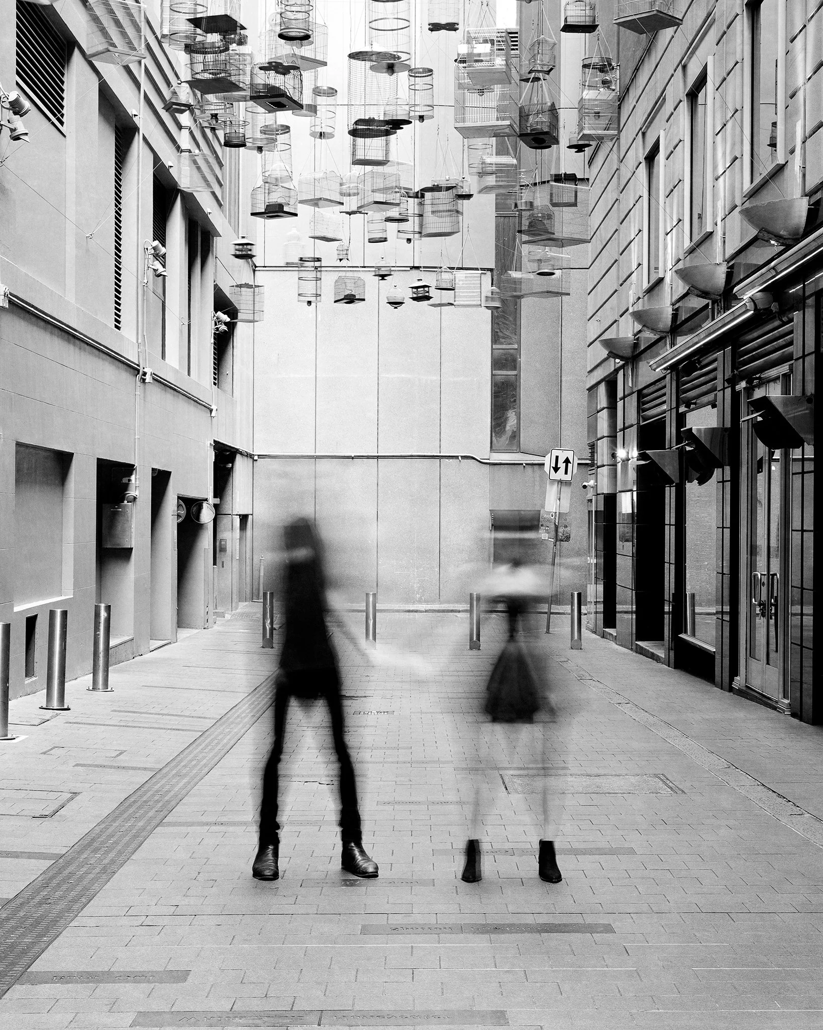 Disconcerting_2-4x5-2048px.jpg