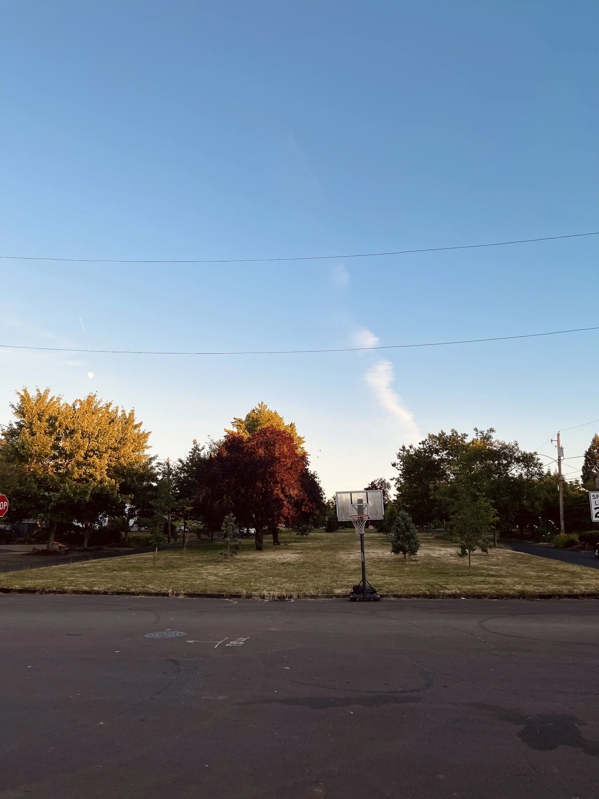 Roseway Neighborhood Association