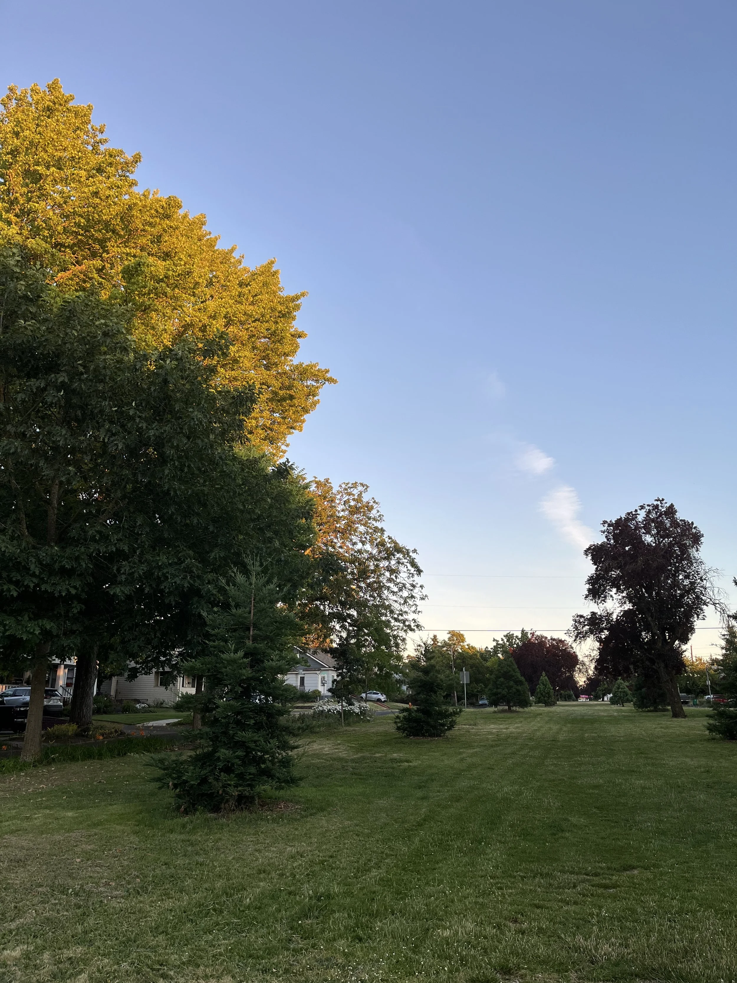 Roseway Neighborhood Association