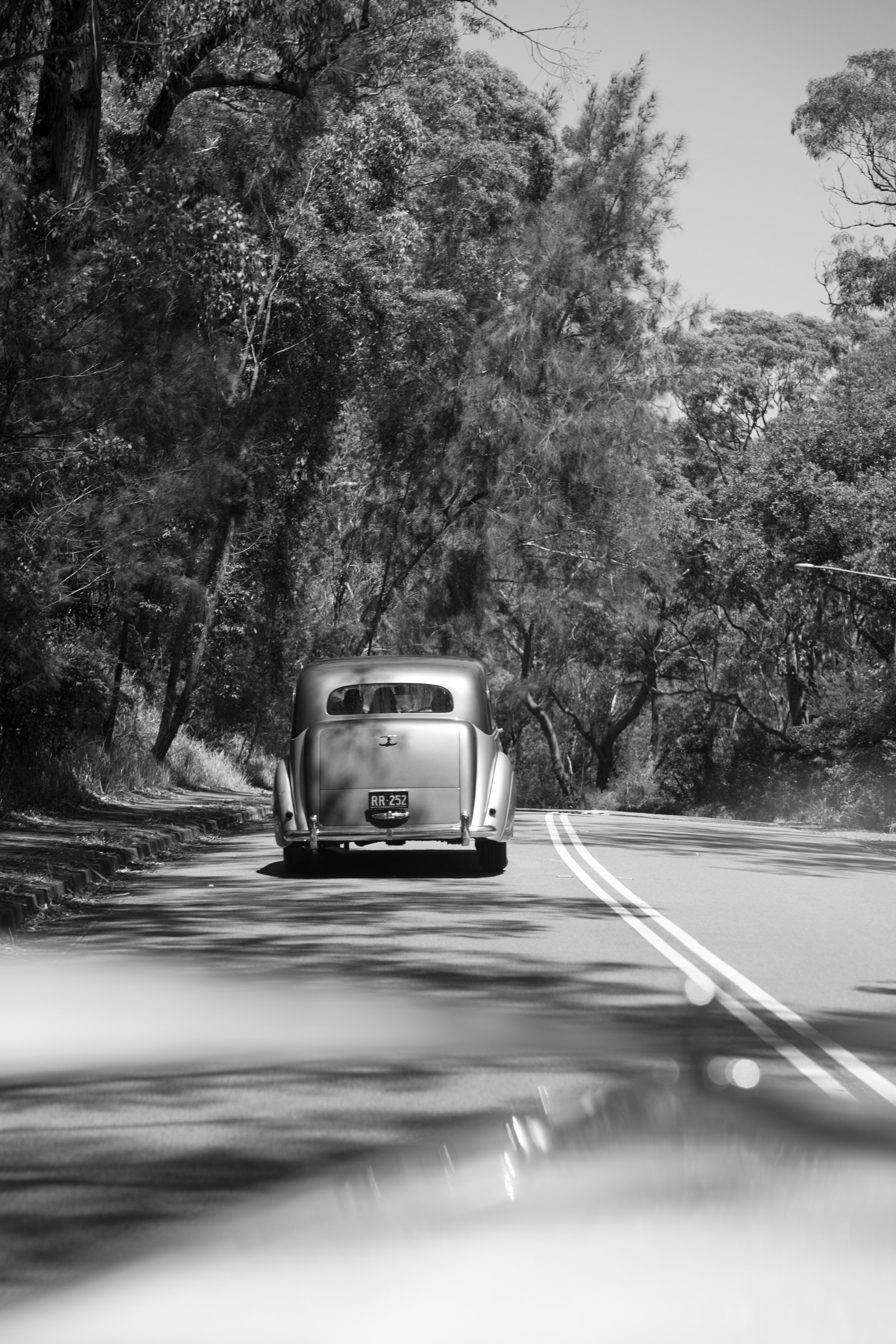 A black and white photo of a vintage car driving on a winding road through a forested area with trees on both sides.