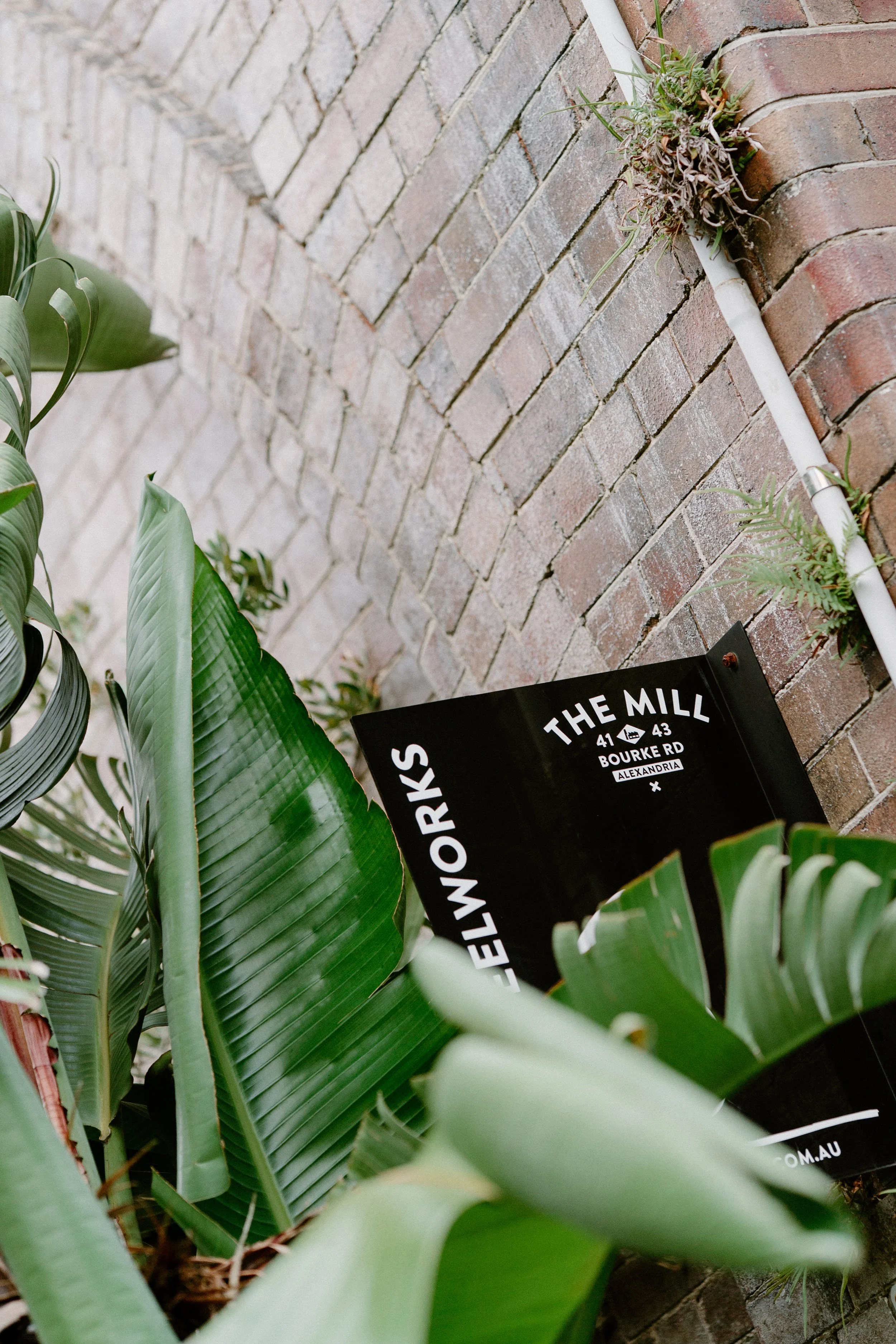 lineseed-house-wedding-photos-the-grounds-everleigh-90.jpg