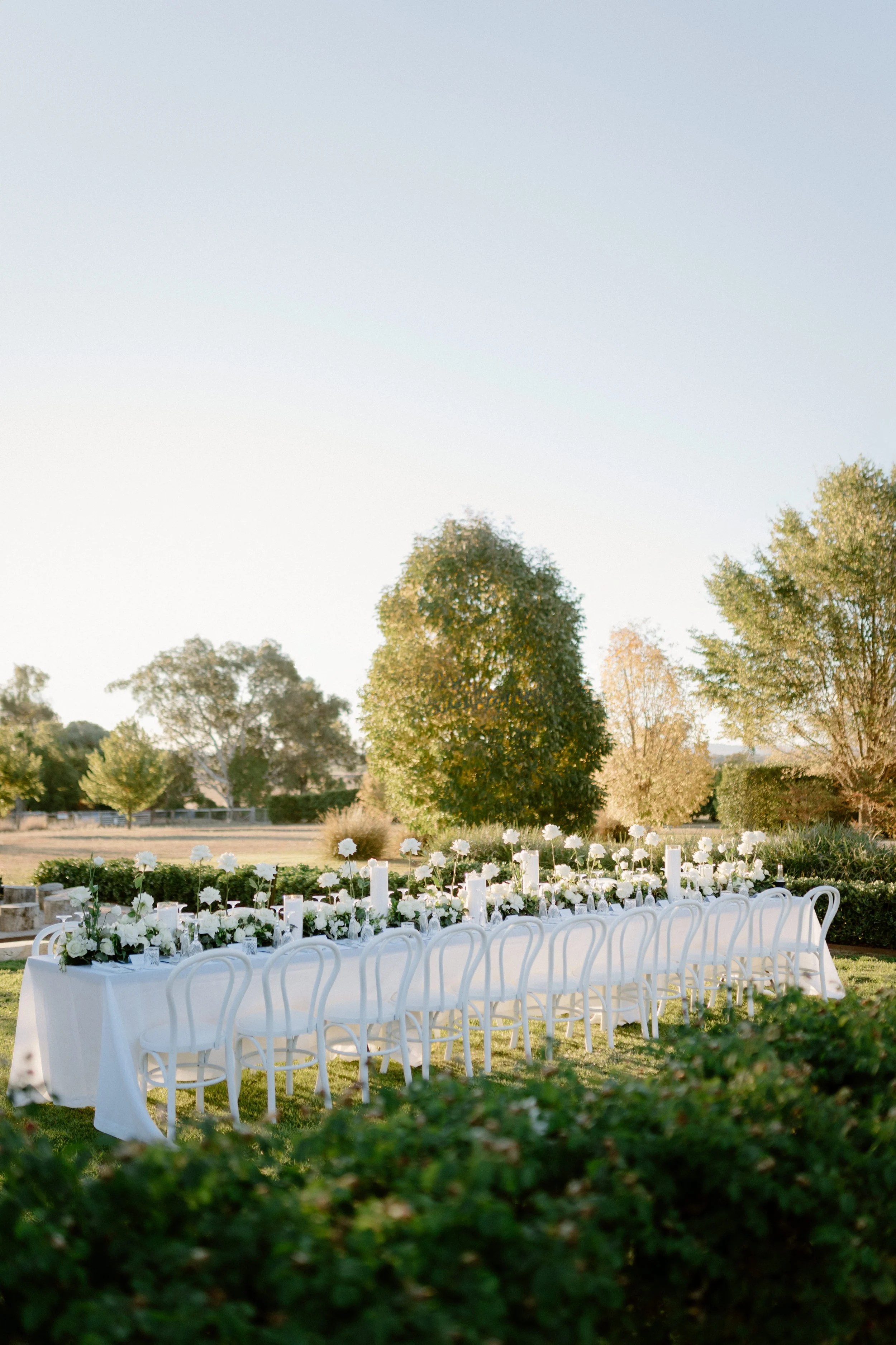 An outdoor wedding reception setup with a long white table decorated with white flowers and white chairs, set in a green, sunlit yard with trees in the background.