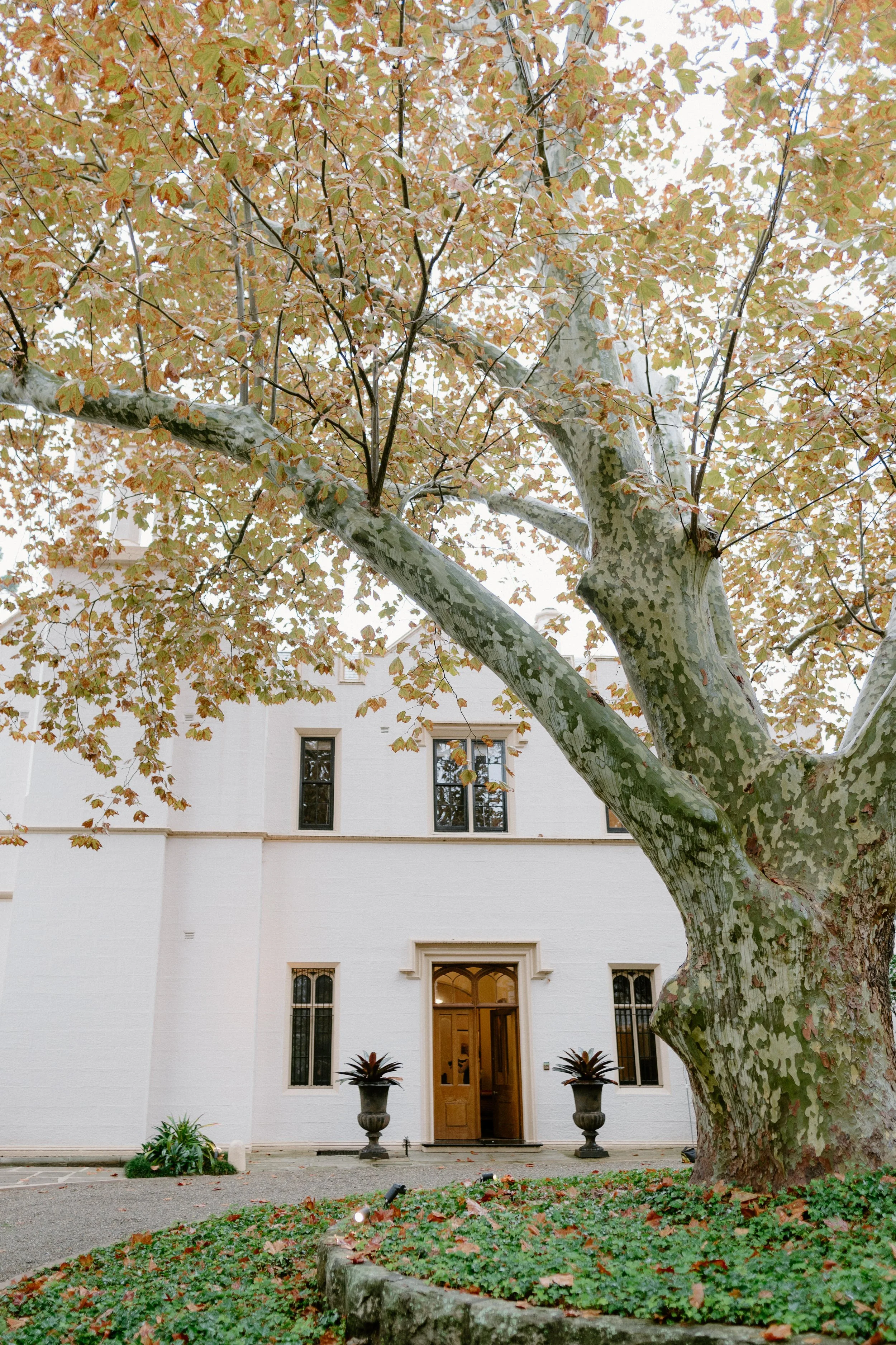 lindesay-house-darling-point-wedding-photographer-54.jpg