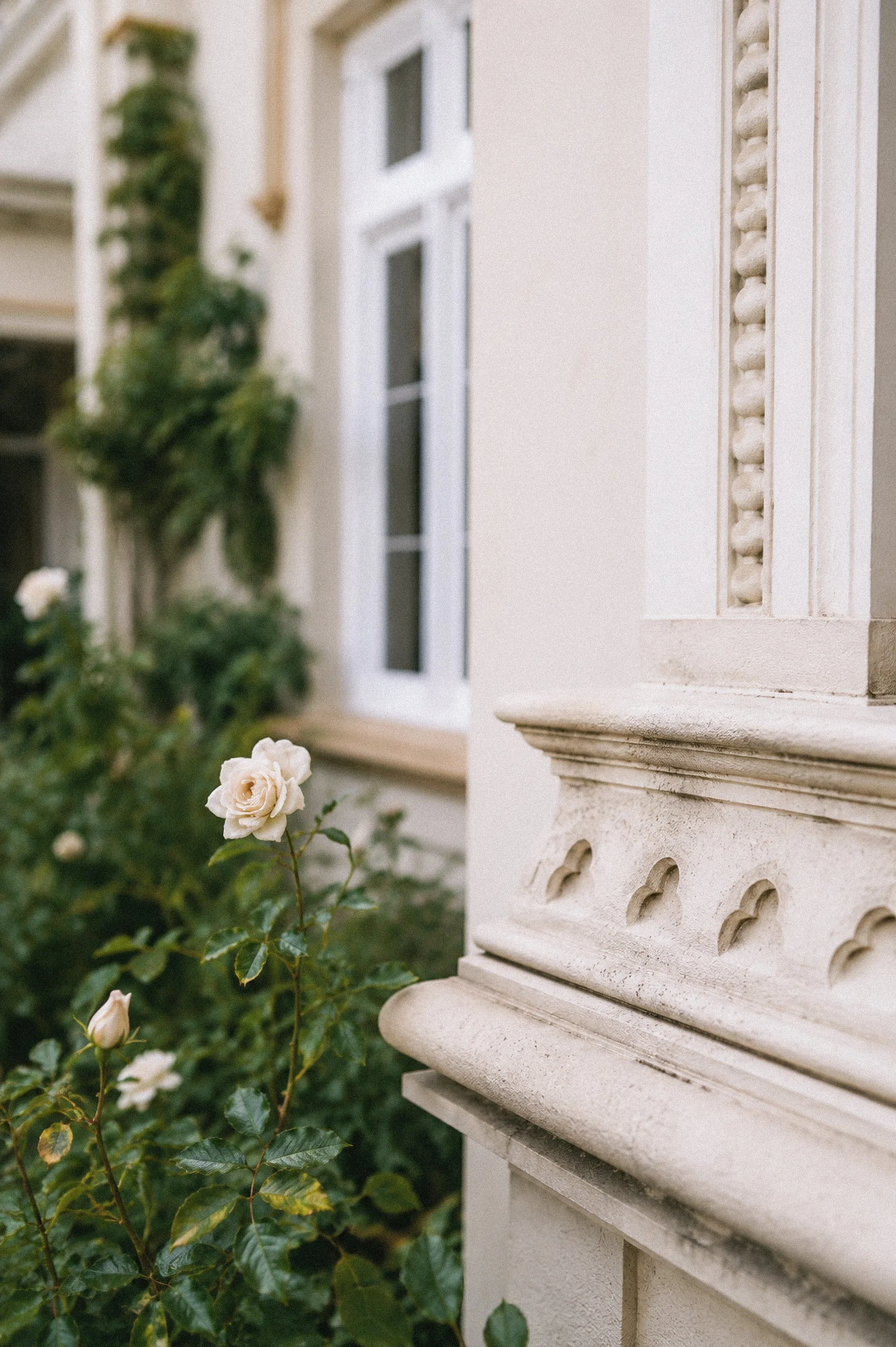 Close-up of a white decorative architectural element on a building with a small white flower and green foliage in the foreground.