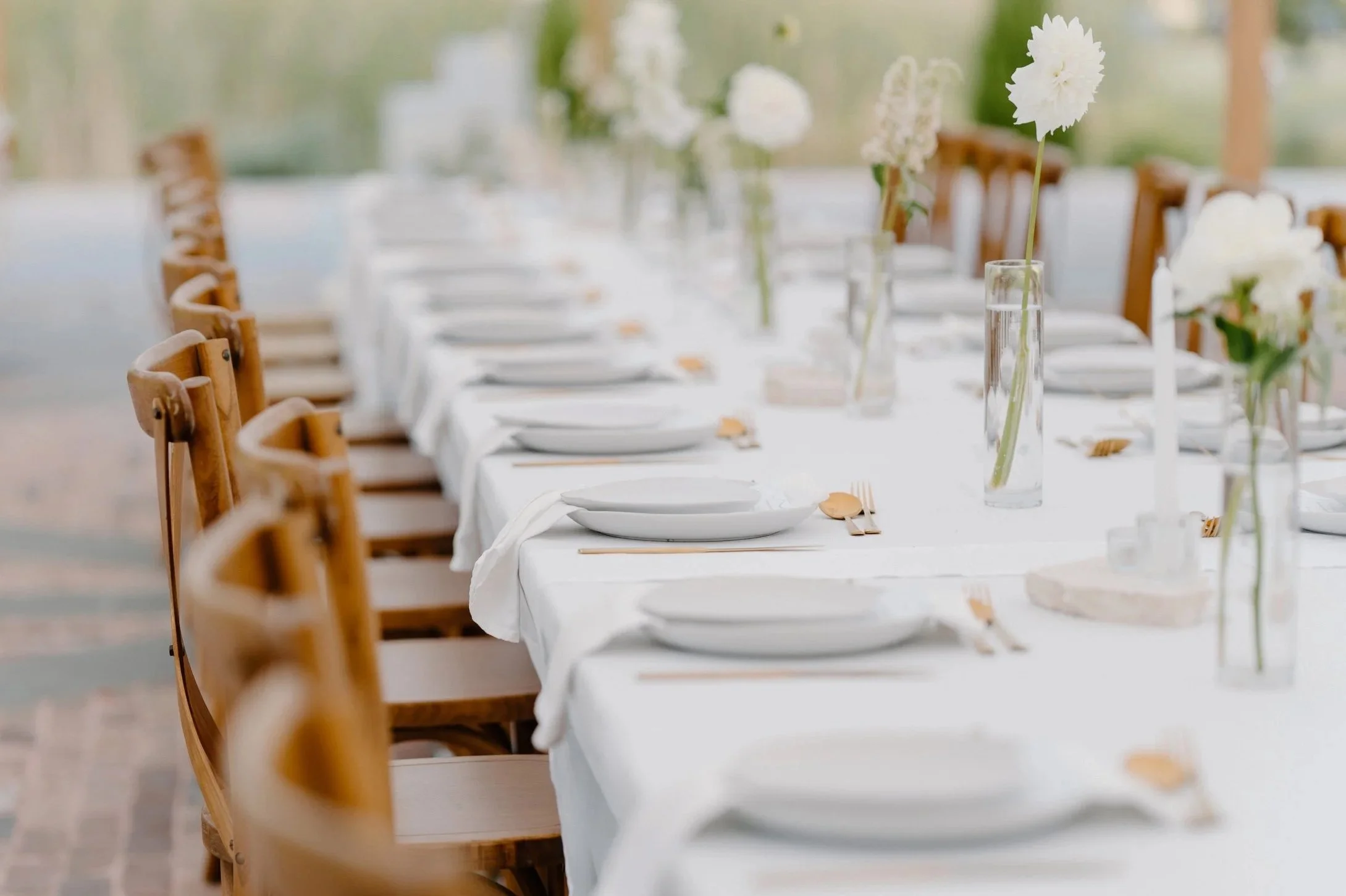 A long banquet table set for an event with white tablecloth, white plates, gold cutlery, and glass vases with white flowers.