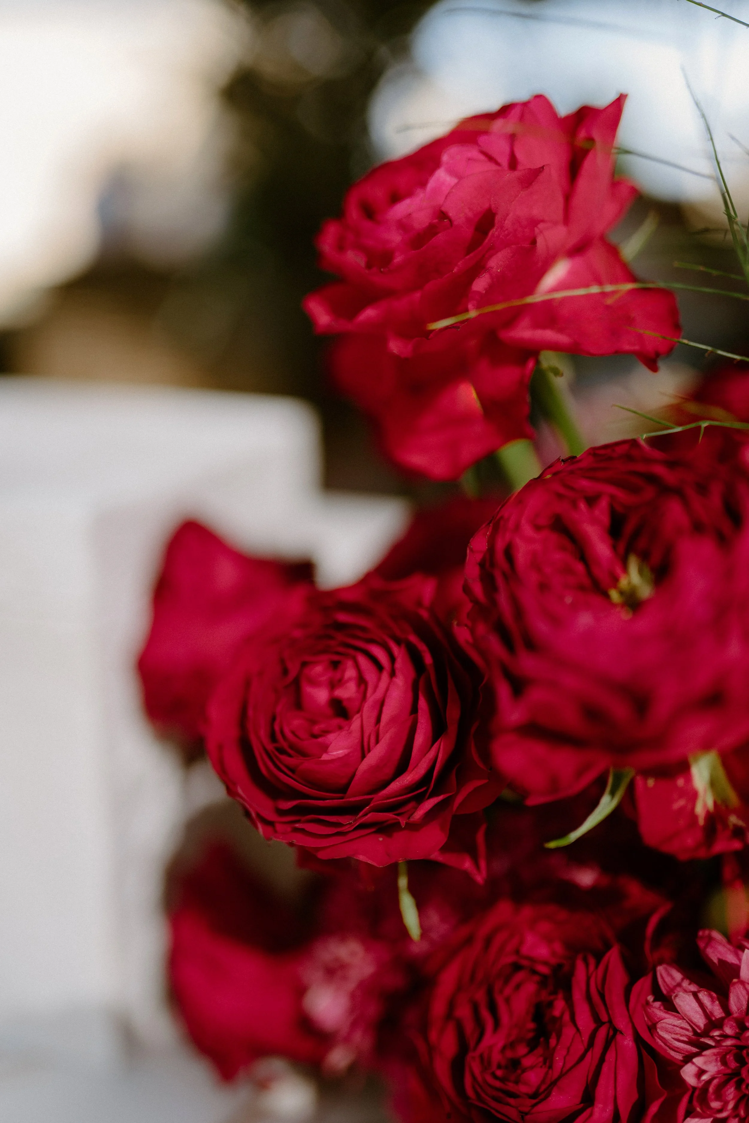 Close-up of a bouquet of deep red and pink roses with a blurred background.