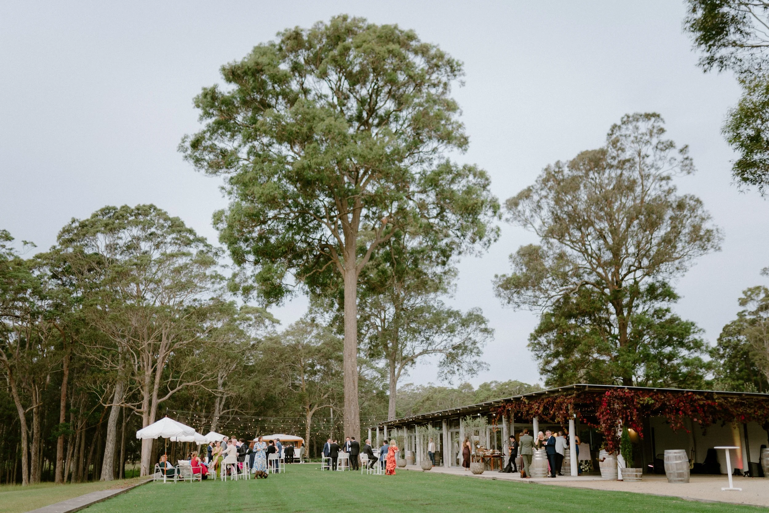 worrowing-estate-jervis-bay-wedding-photos-171.jpg