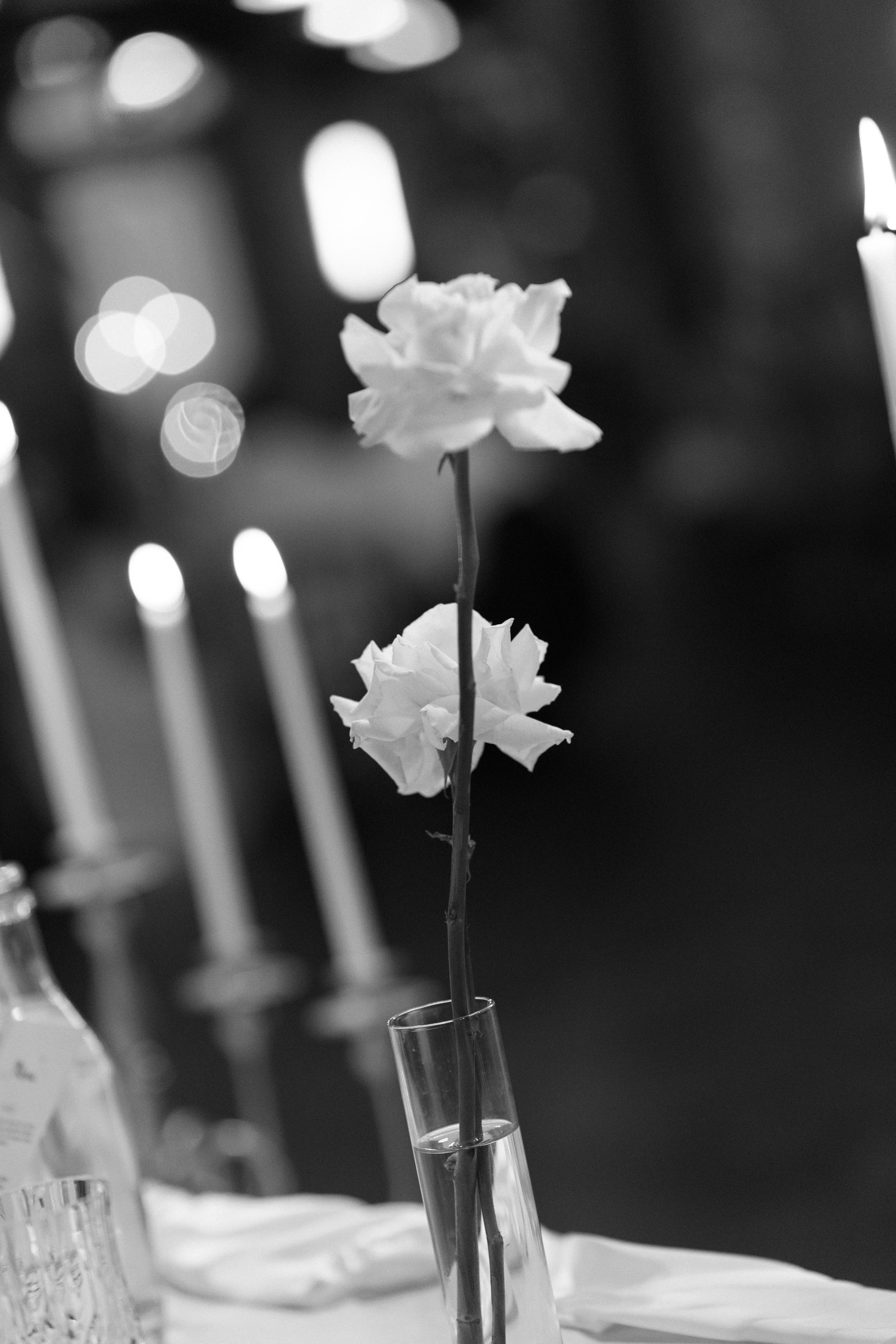 lineseed-house-wedding-photos-the-grounds-everleigh-115.jpg