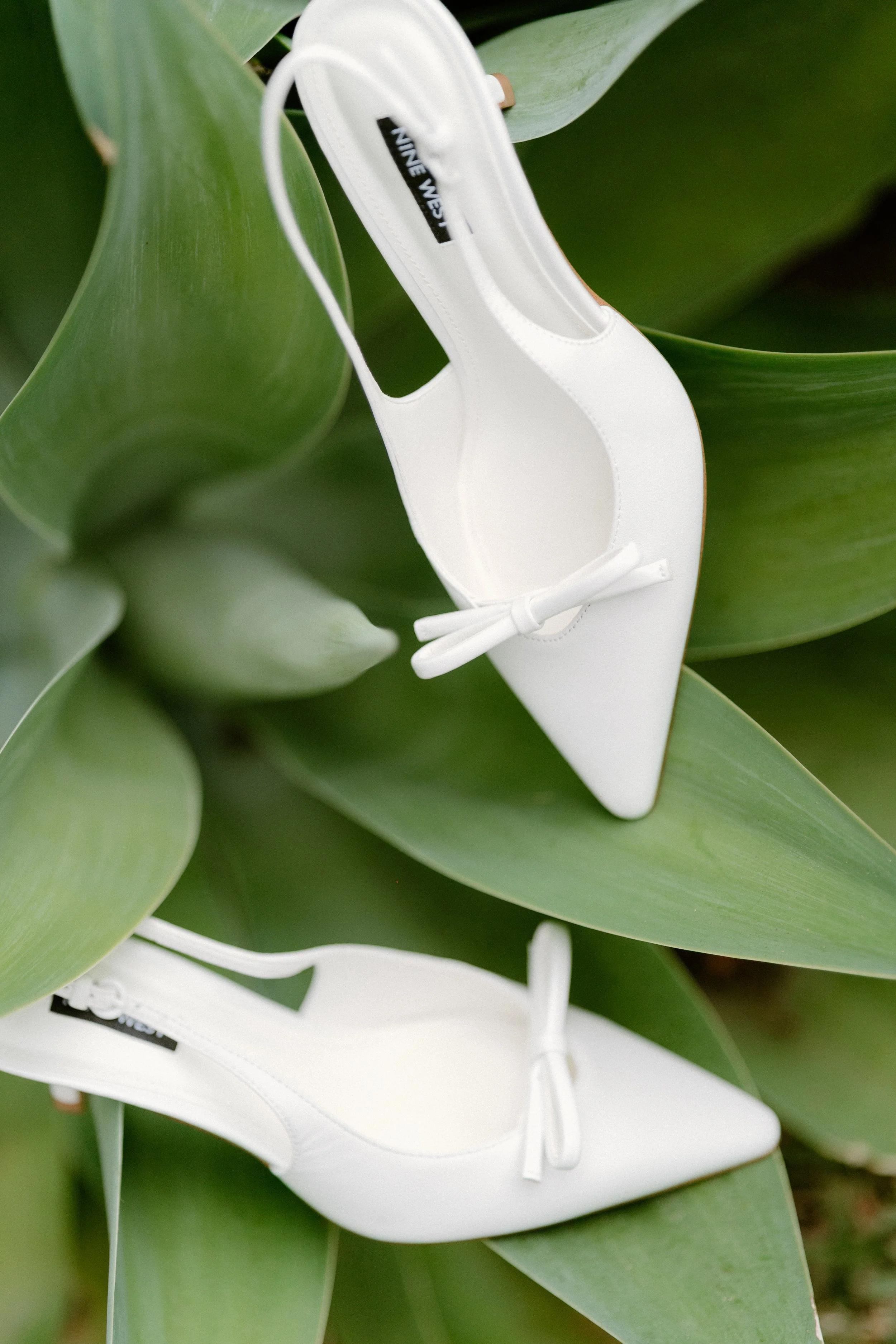 Close-up of a white shoe with a bow, placed among large green leaves.