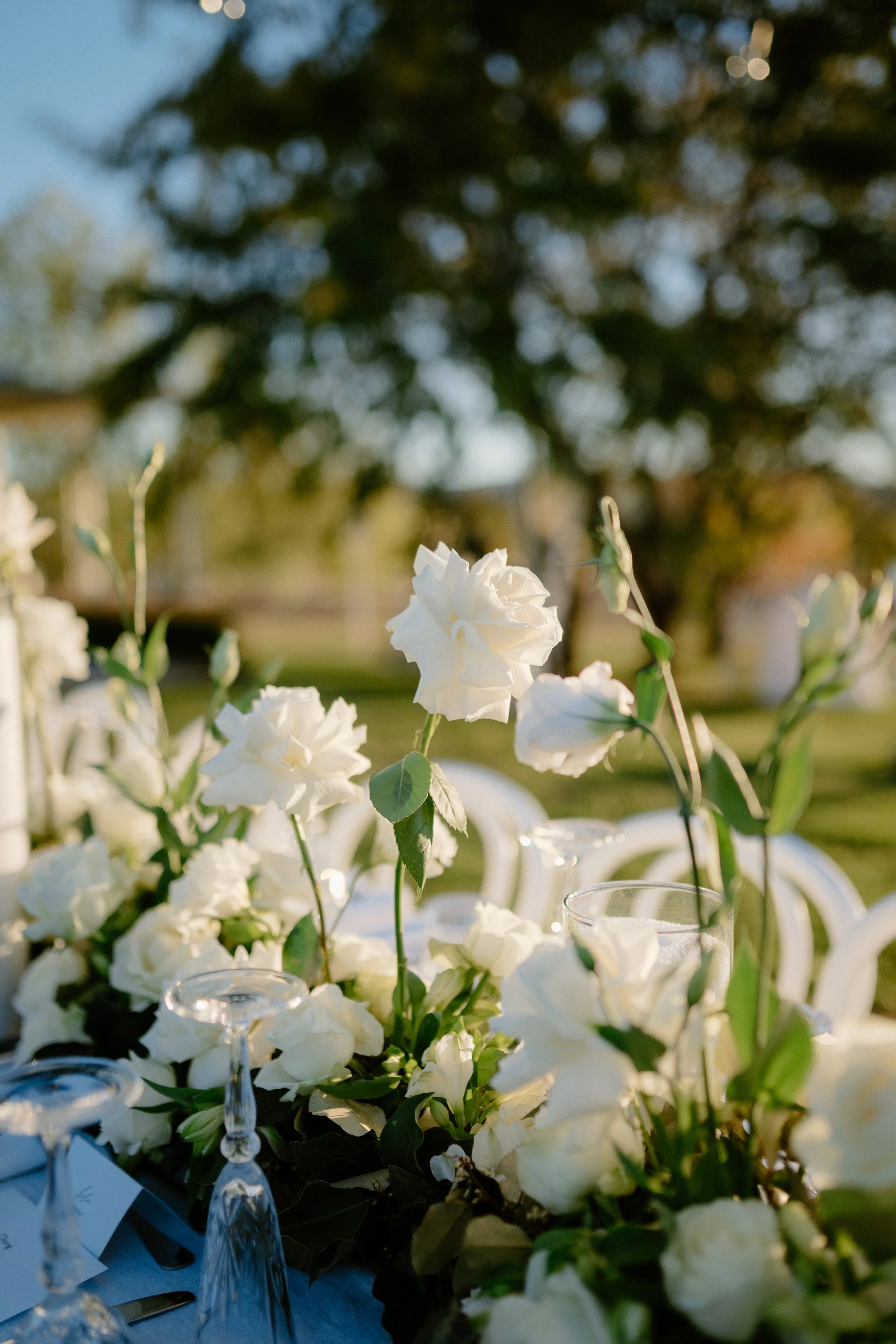 Close-up of white flowers on a table at an outdoor event with greenery and trees in the background.
