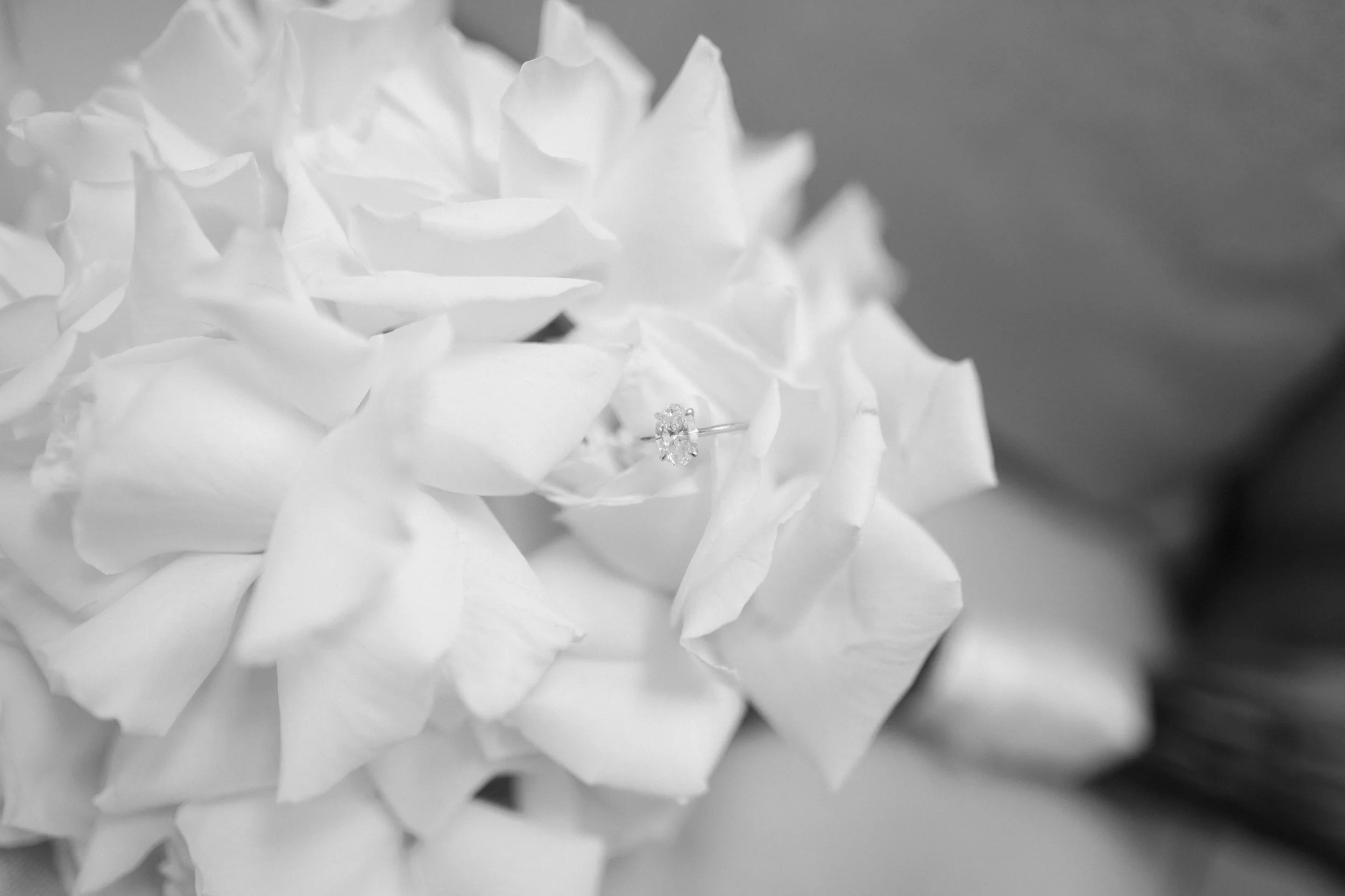 sydney-wedding-photos-the-grounds-everleigh-2.jpg
