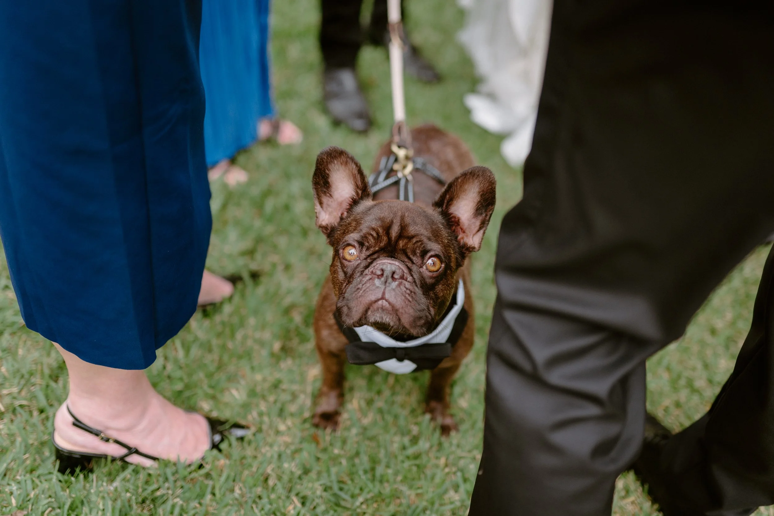 worrowing-estate-jervis-bay-wedding-photos-122.jpg