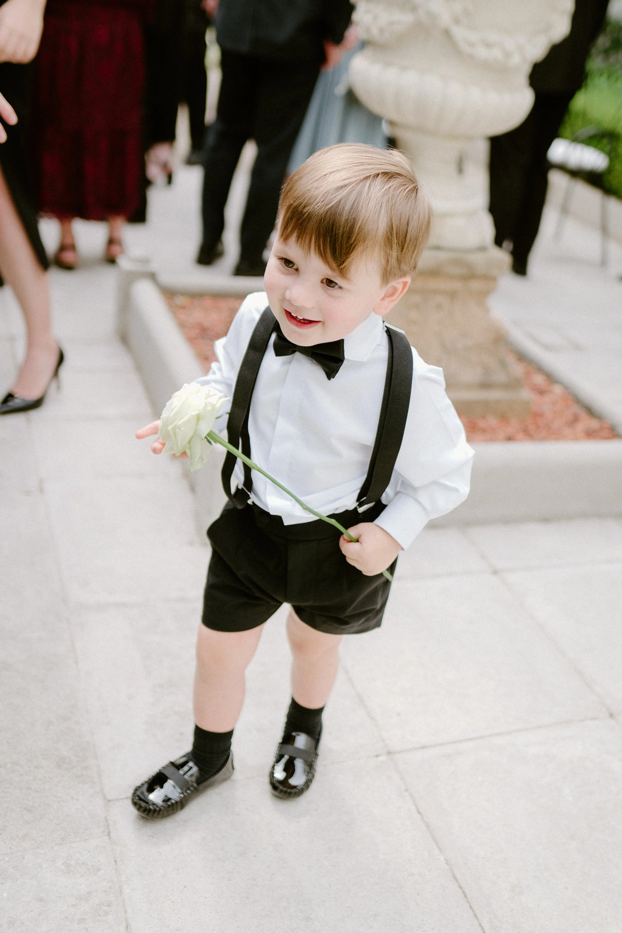 A young boy dressed in formal attire with a white shirt, black bow tie, suspenders, and shorts, holding a white rose, at a wedding or formal event.