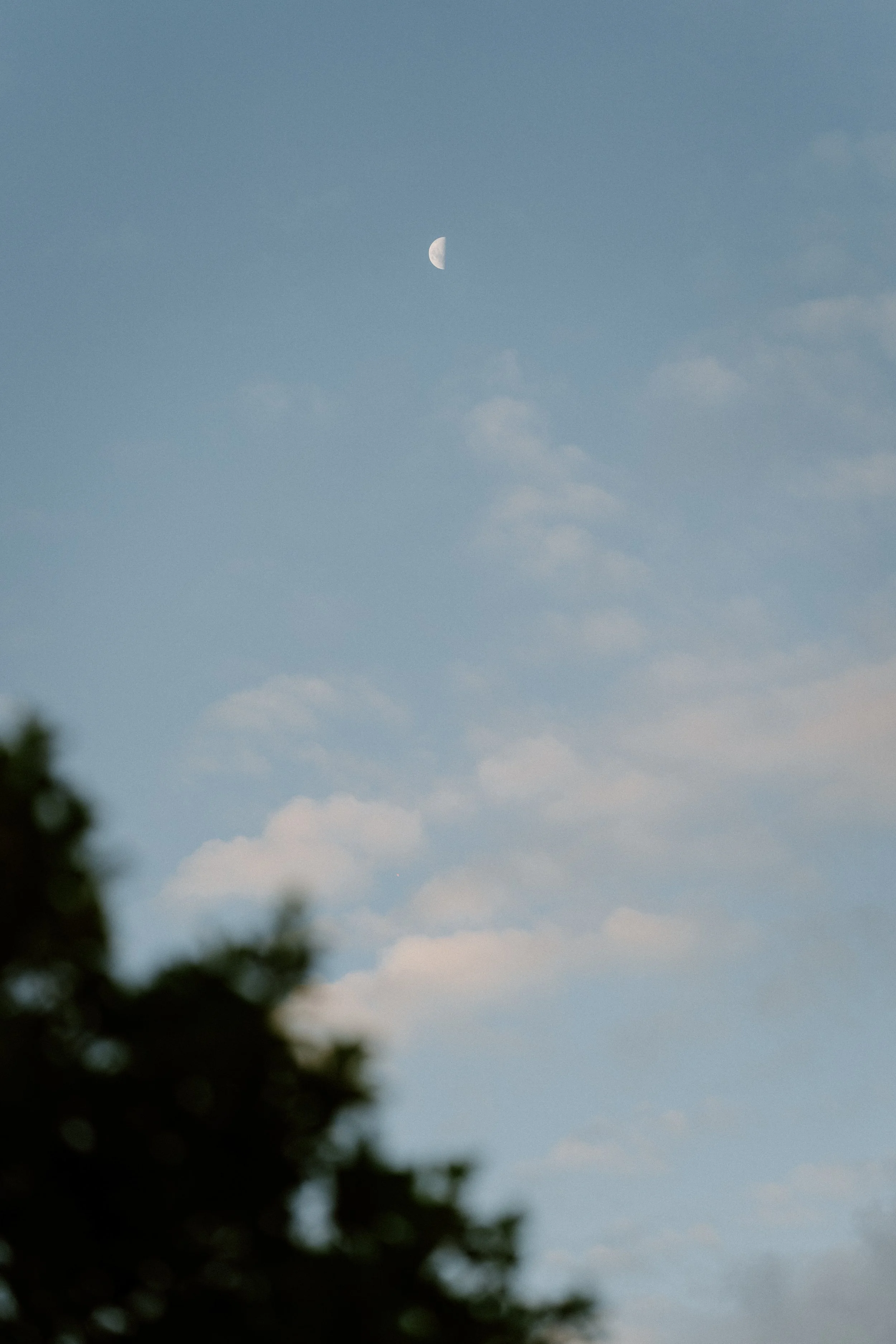 A photograph of the moon in the daytime sky with some cloudy clouds and blurred tree branches and leaves in the foreground.