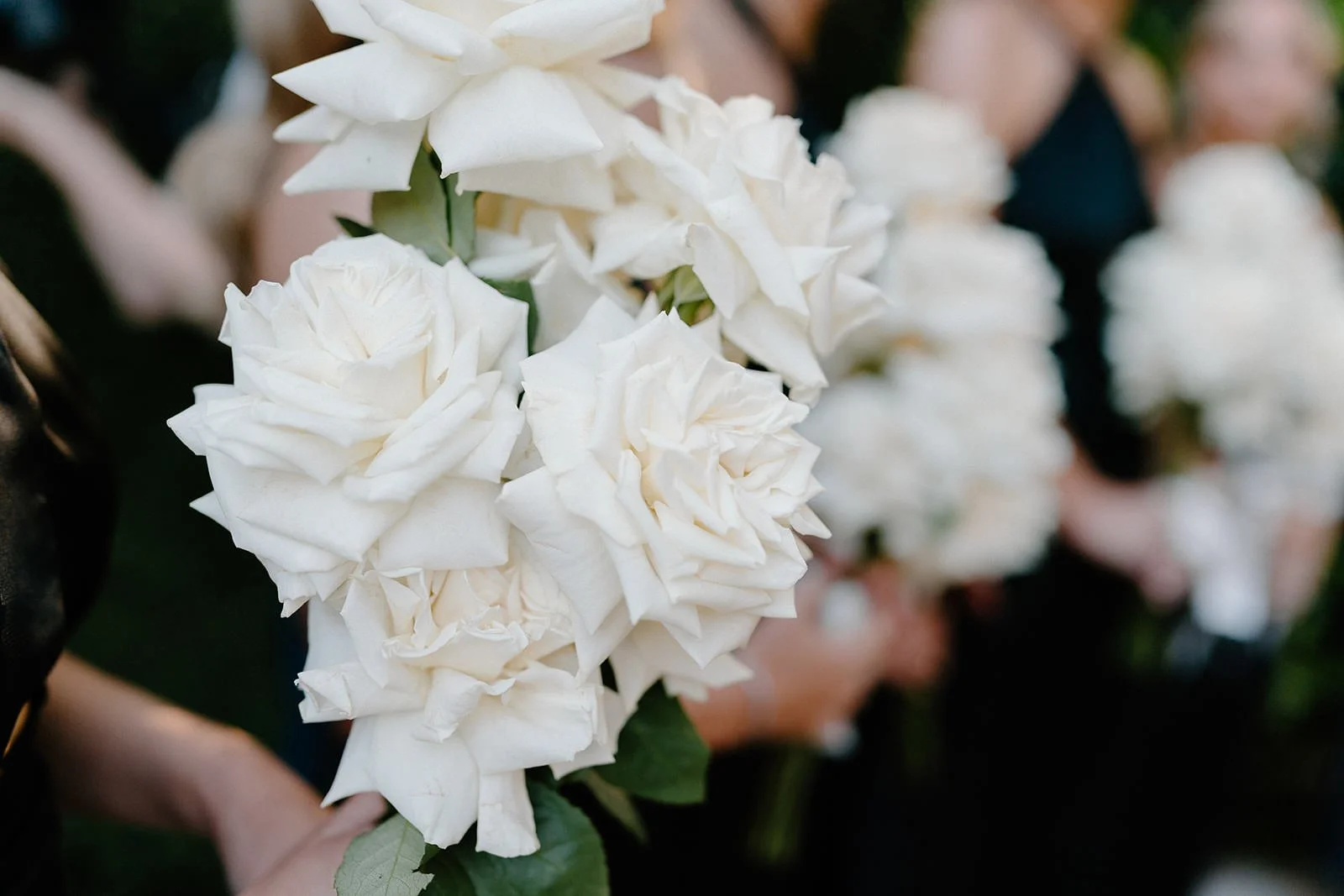 Jaspers-Berry-Wedding Photography-123.jpg