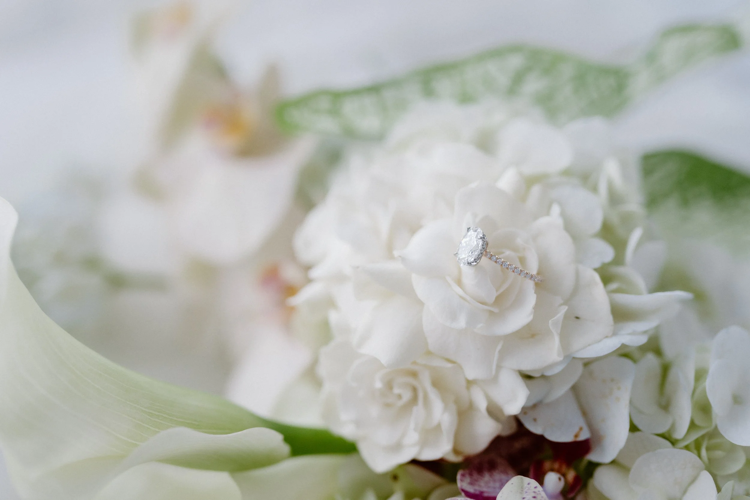 lindesay-house-darling-point-wedding-photographer-3.jpg