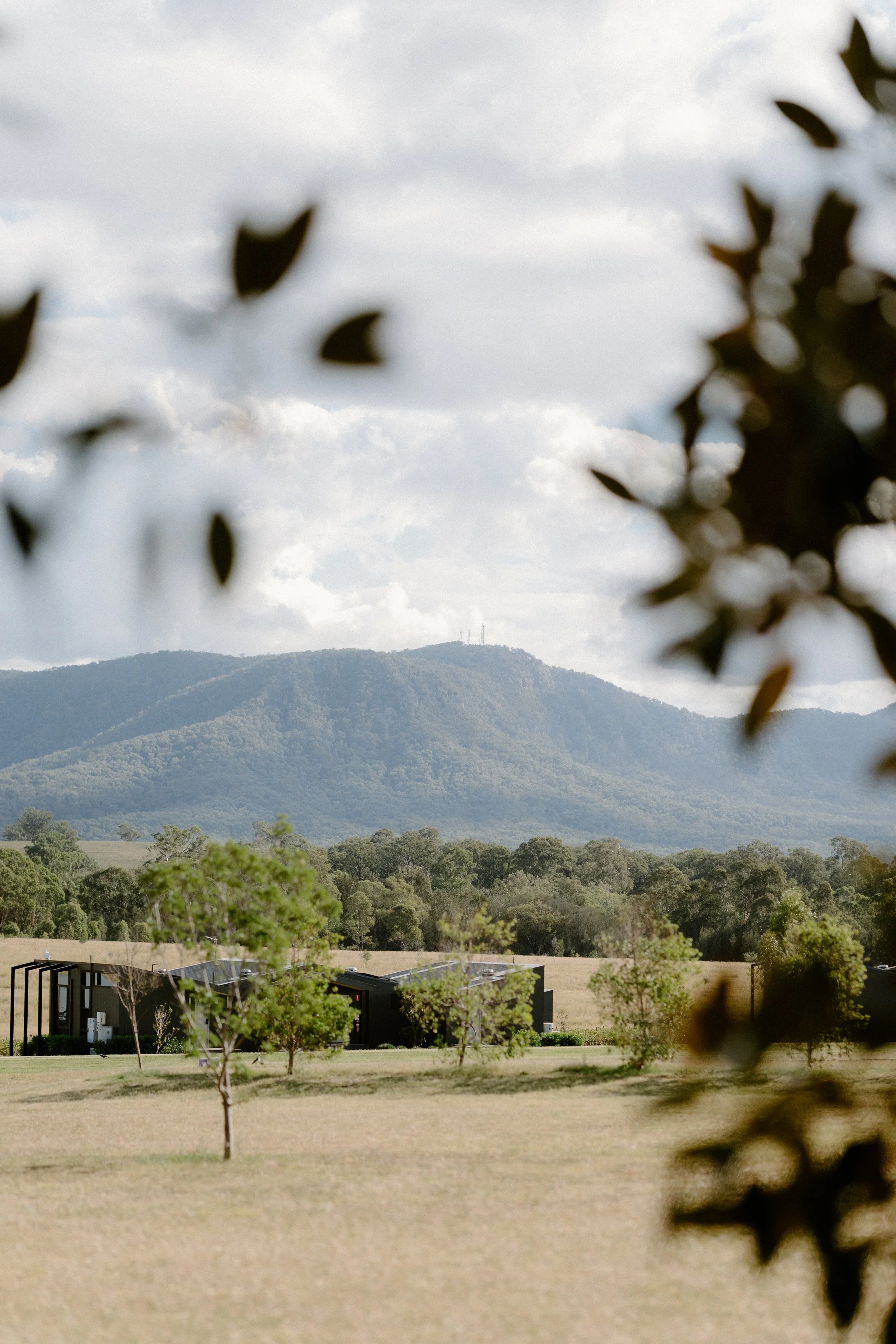 Bimbadgen Palmers Lane Wedding, Hunter Valley