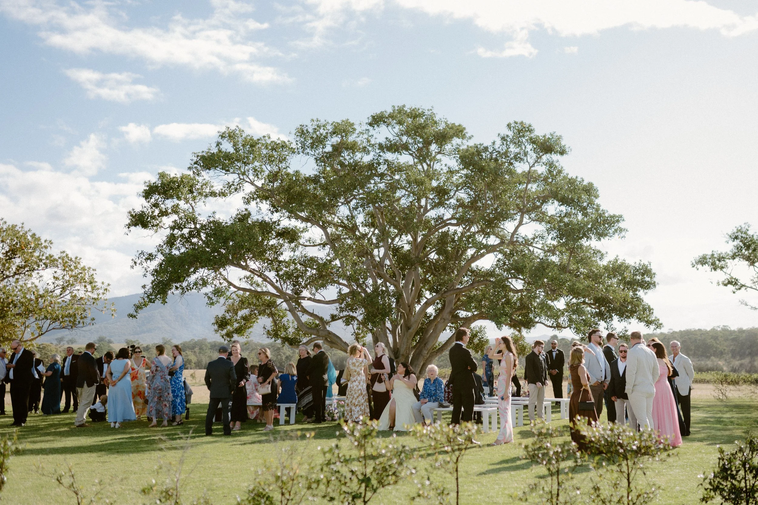 Outdoor wedding ceremony with guests dressed elegantly, gathered under a large tree, with blue sky and mountains in the background. Bimbadgen Palmers Lane Wedding, Hunter Valley