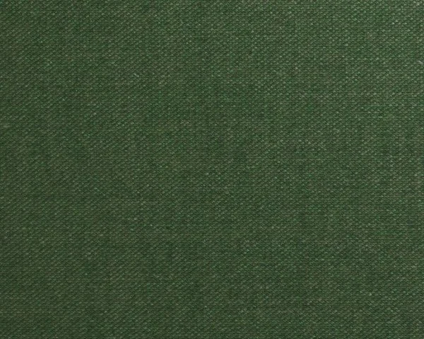 Mint Chip Cloth