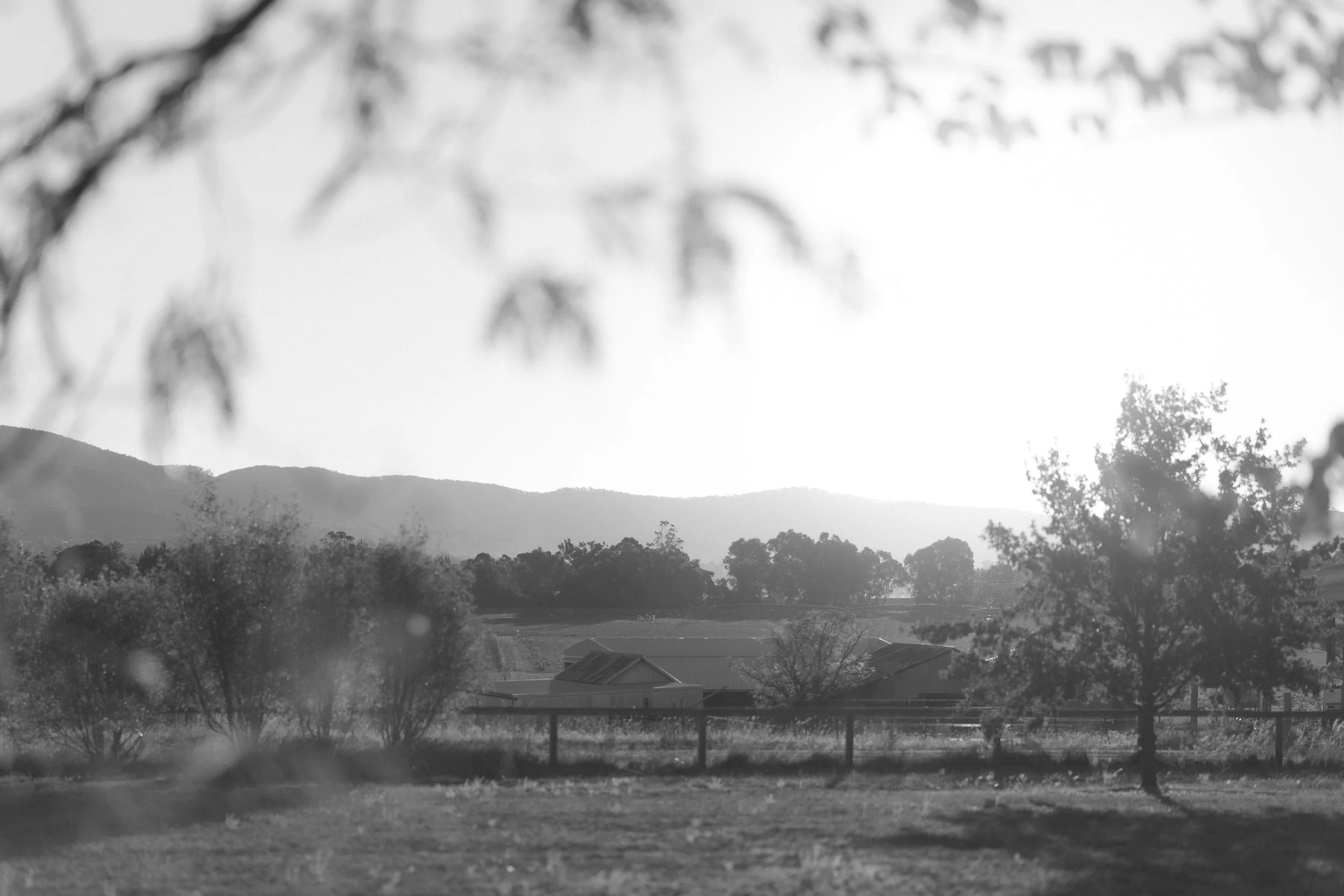 A black and white landscape photo of distant mountains with trees in the foreground and a building in the lower part of the image.