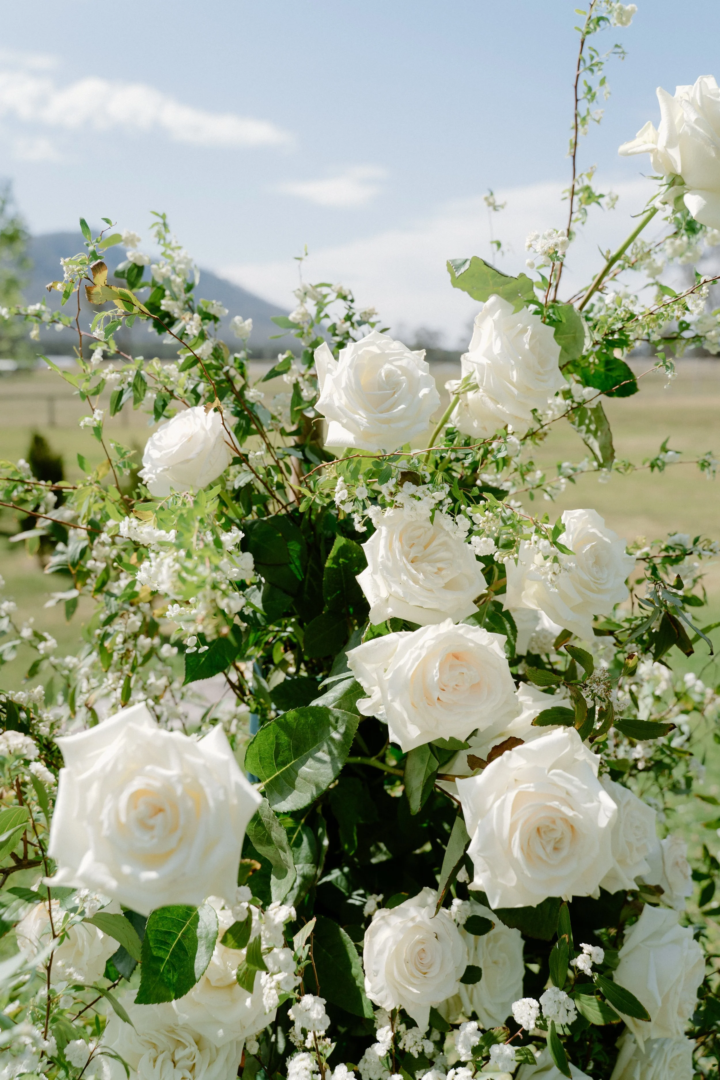 krinklewood-wedding-34.jpg