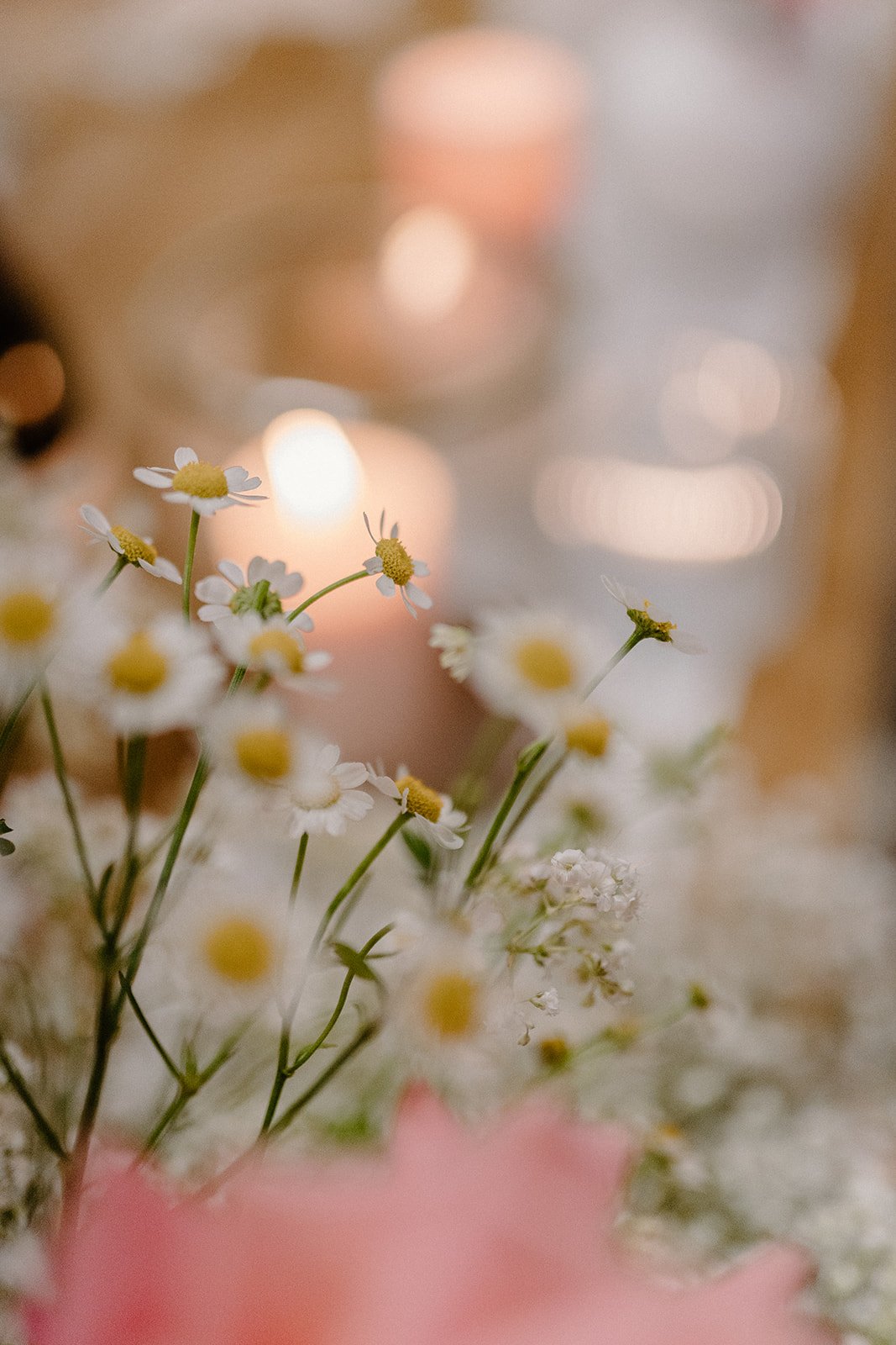 Moder romantics wedding photographer-2.jpg