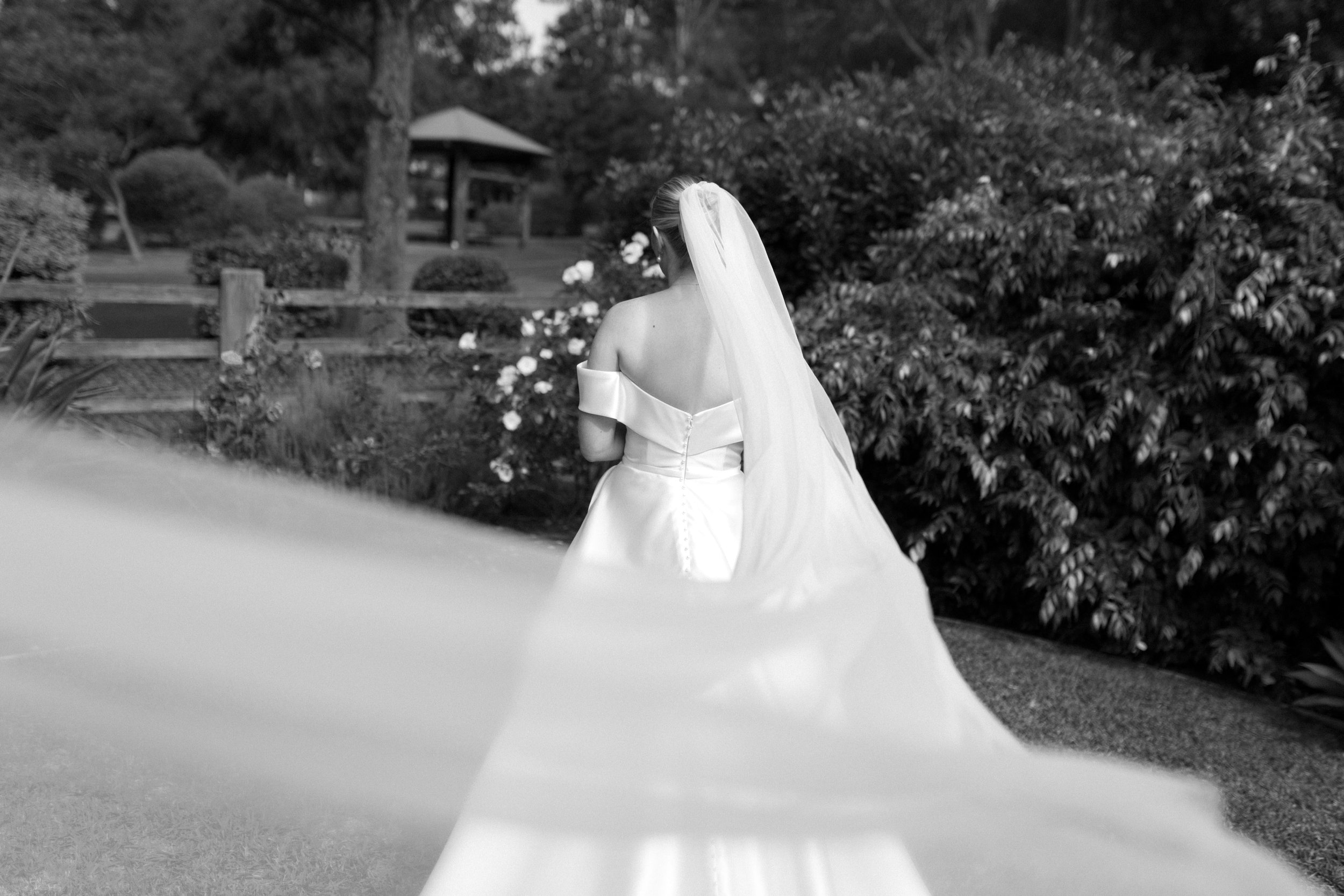 A bride in a wedding dress with an off-the-shoulder design and a long veil standing outdoors in a garden. Bimbadgen Palmers Lane Wedding, Hunter Valley